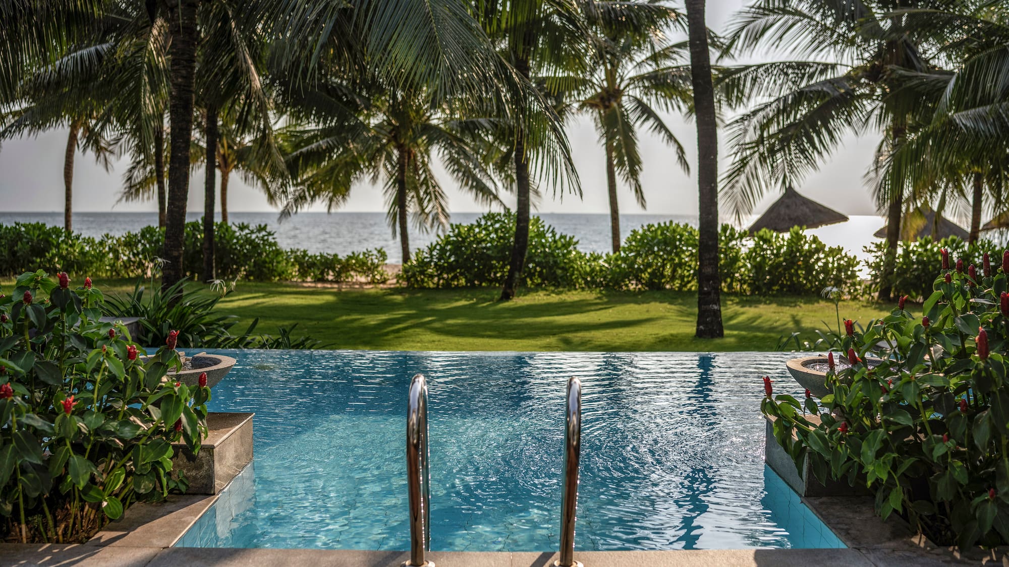 a pool with palm trees and a beach