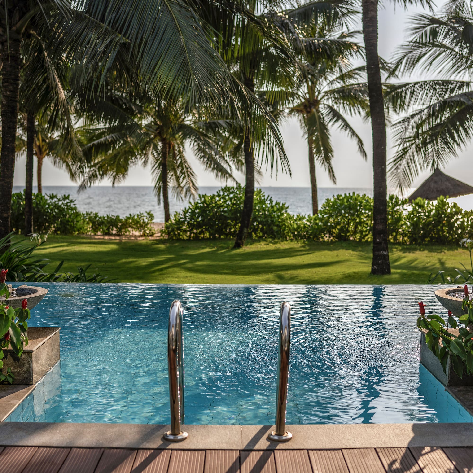 a pool with palm trees and a beach