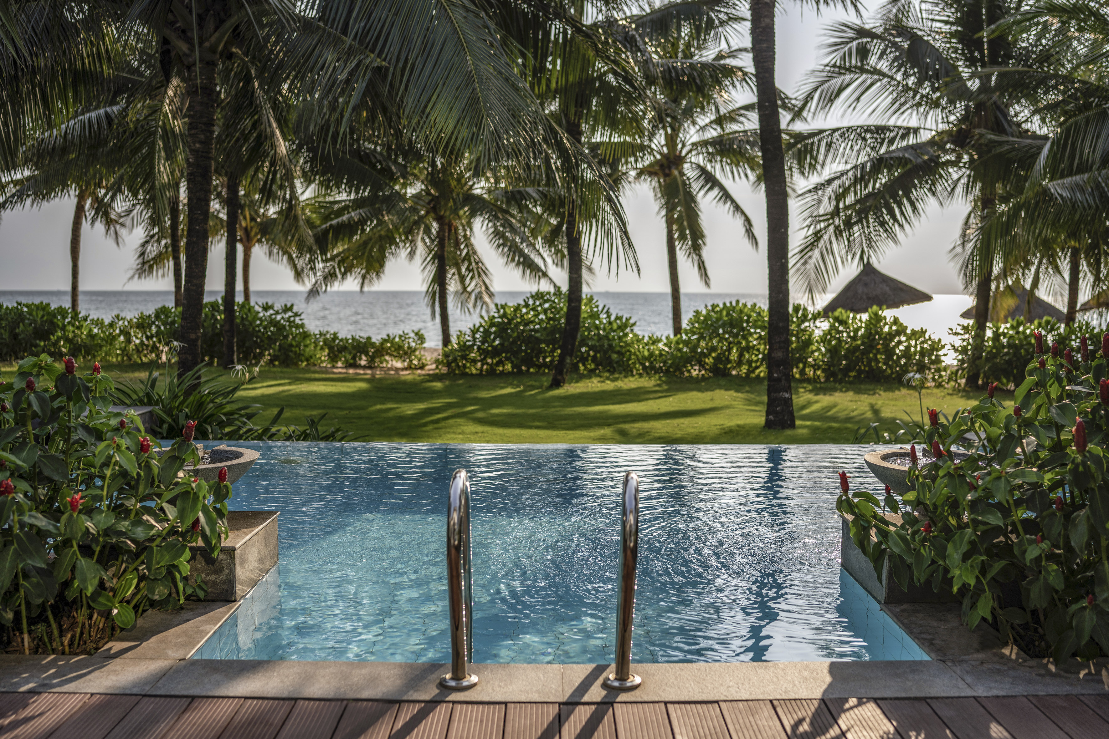 Infinity pool overlooking tropical beach with palm trees and ocean.