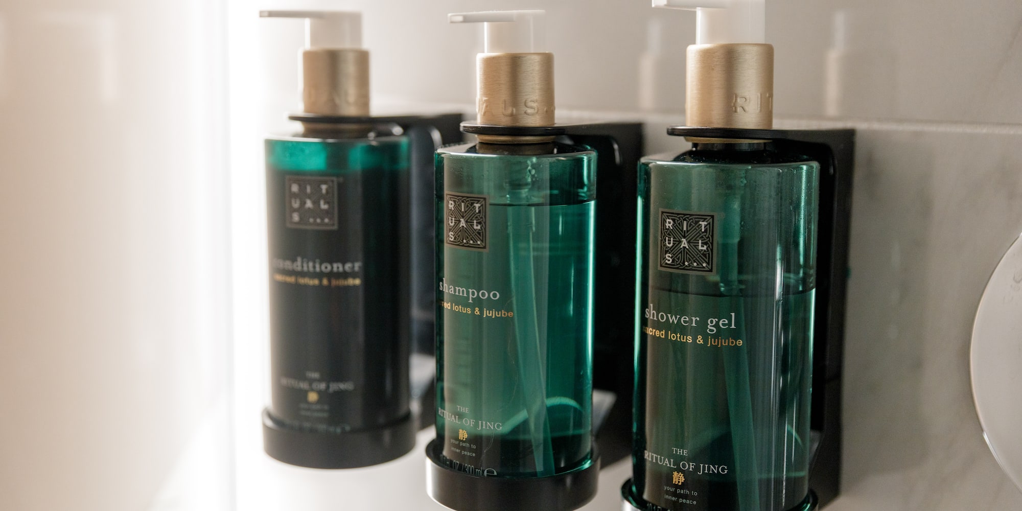 a group of bottles of shampoo and conditioner