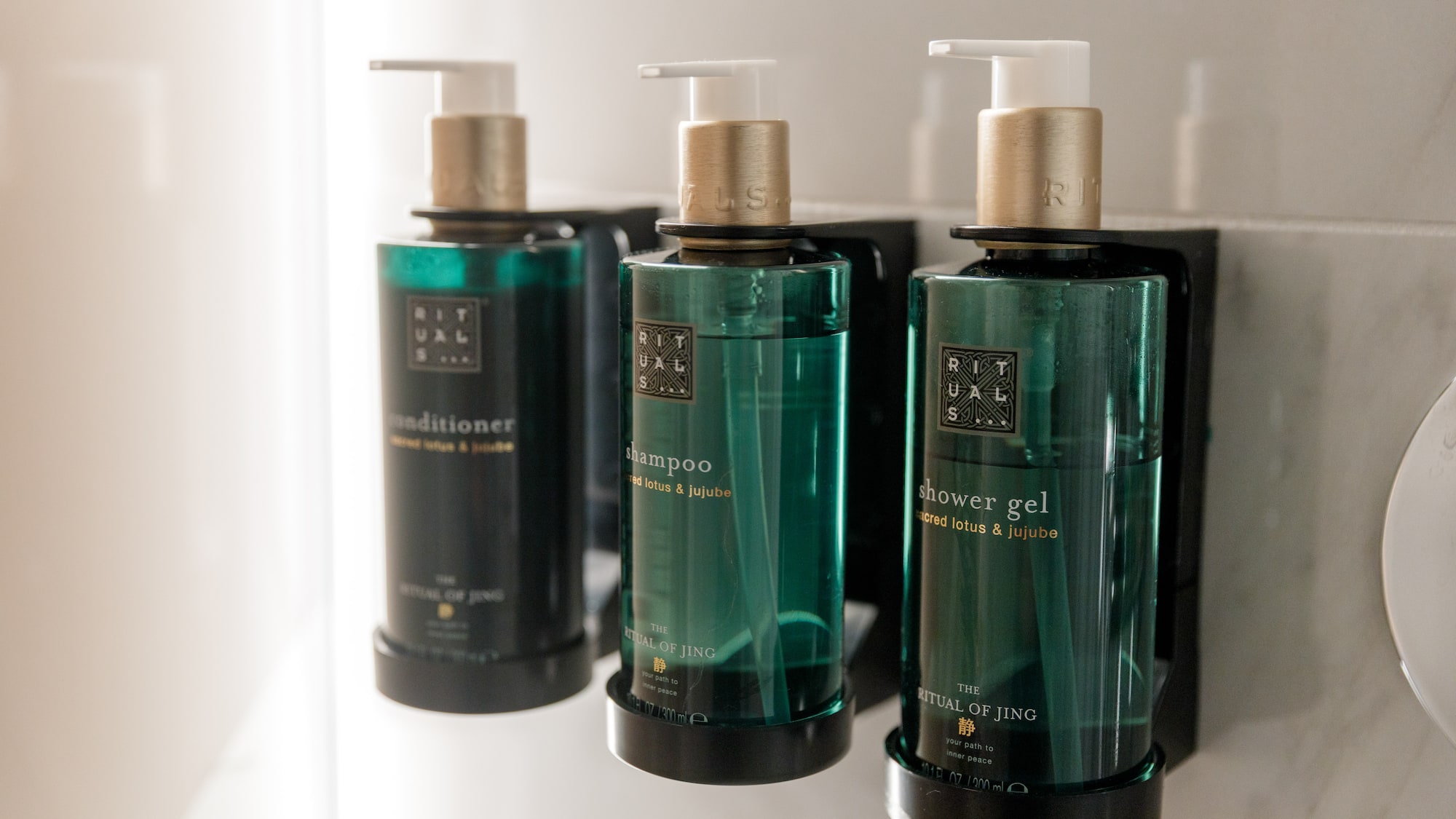 a group of bottles of shampoo and conditioner