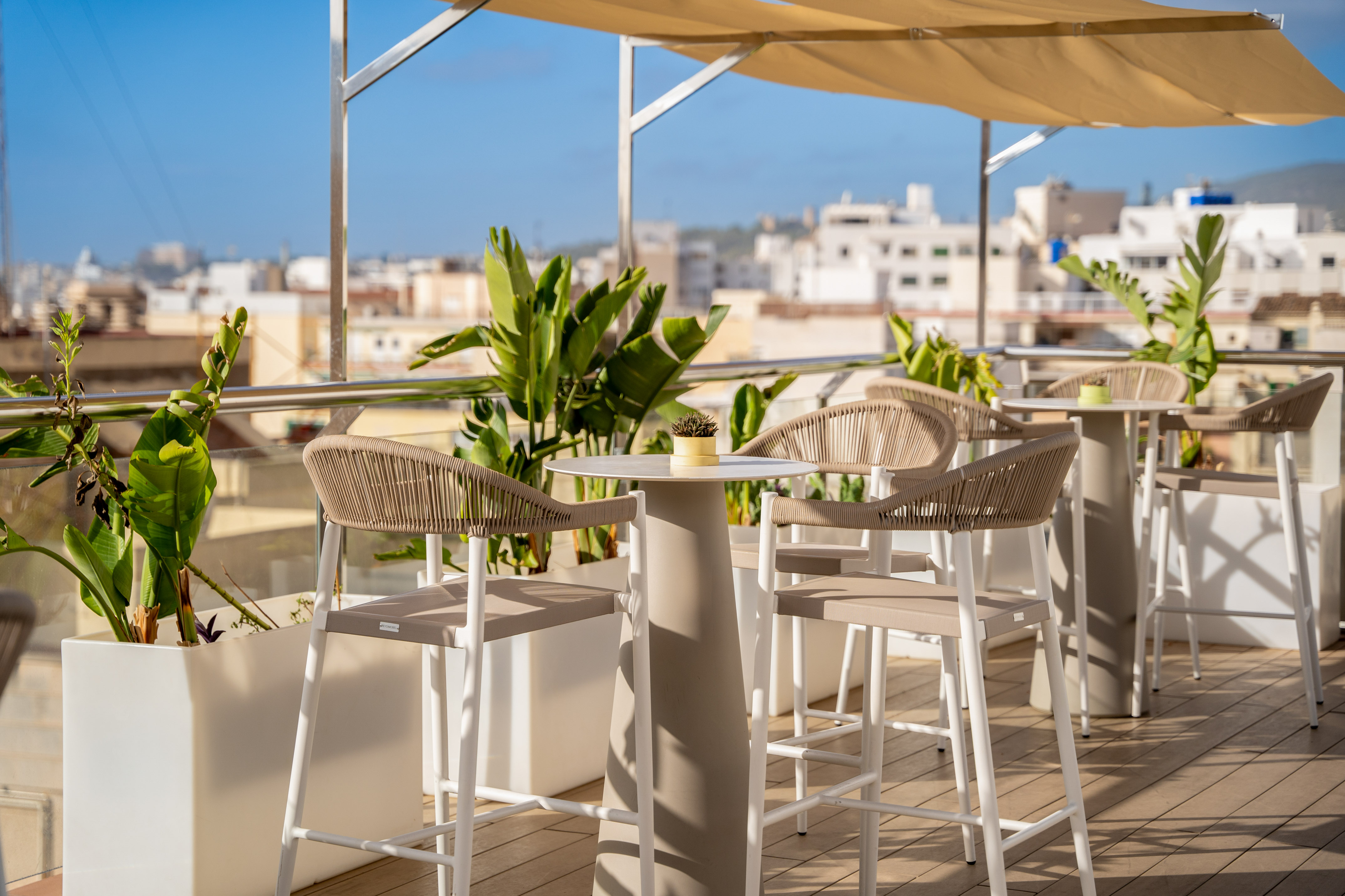 Rooftop bar terrace with woven chairs, tables, lush plants, city skyline view.