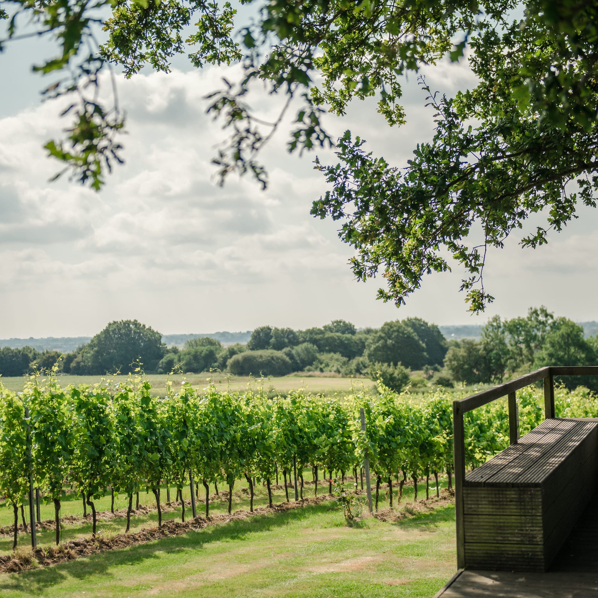 a wooden deck with a railing overlooking a vineyard