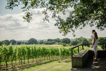 a wooden deck with a railing overlooking a vineyard