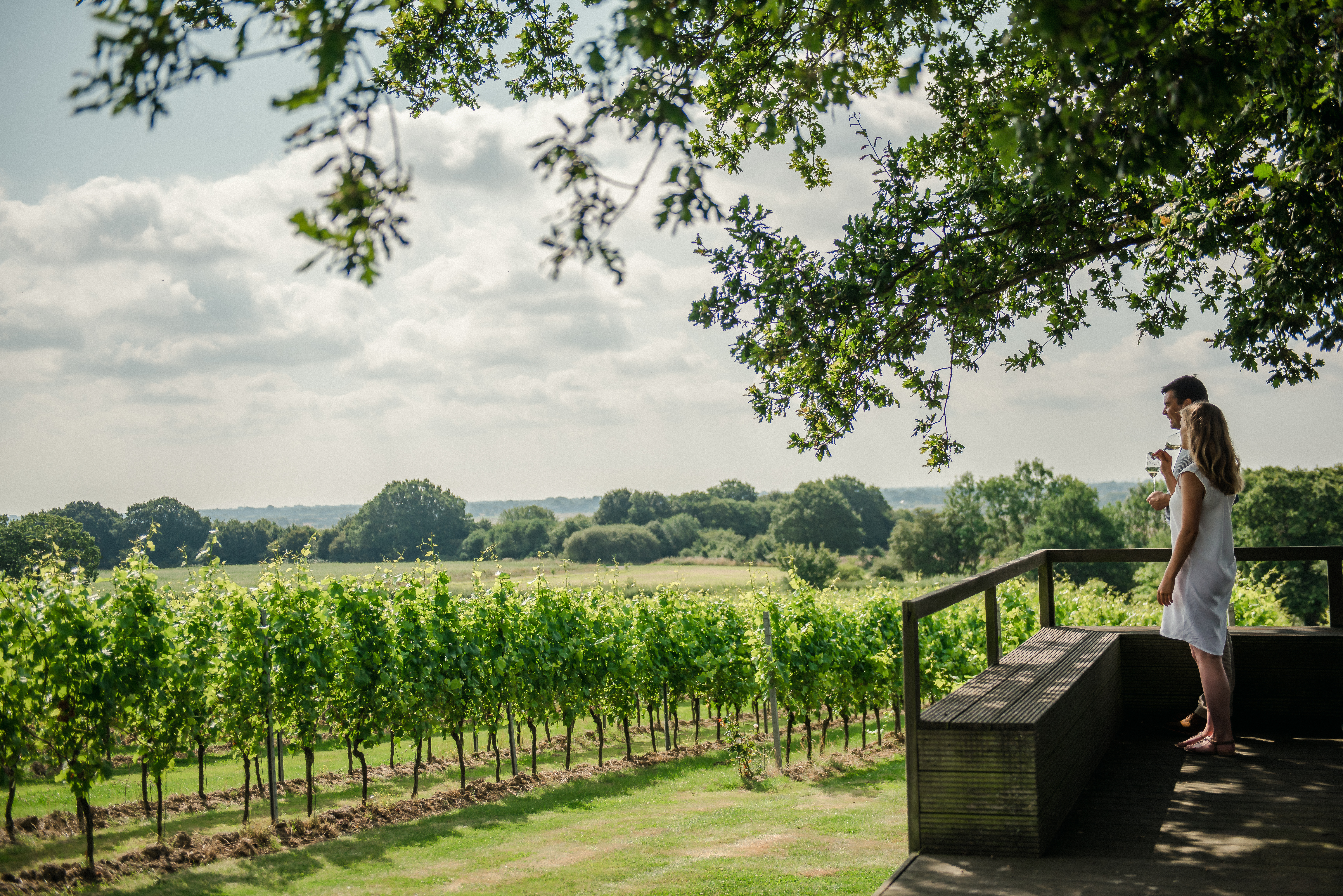 a wooden deck with a railing overlooking a vineyard