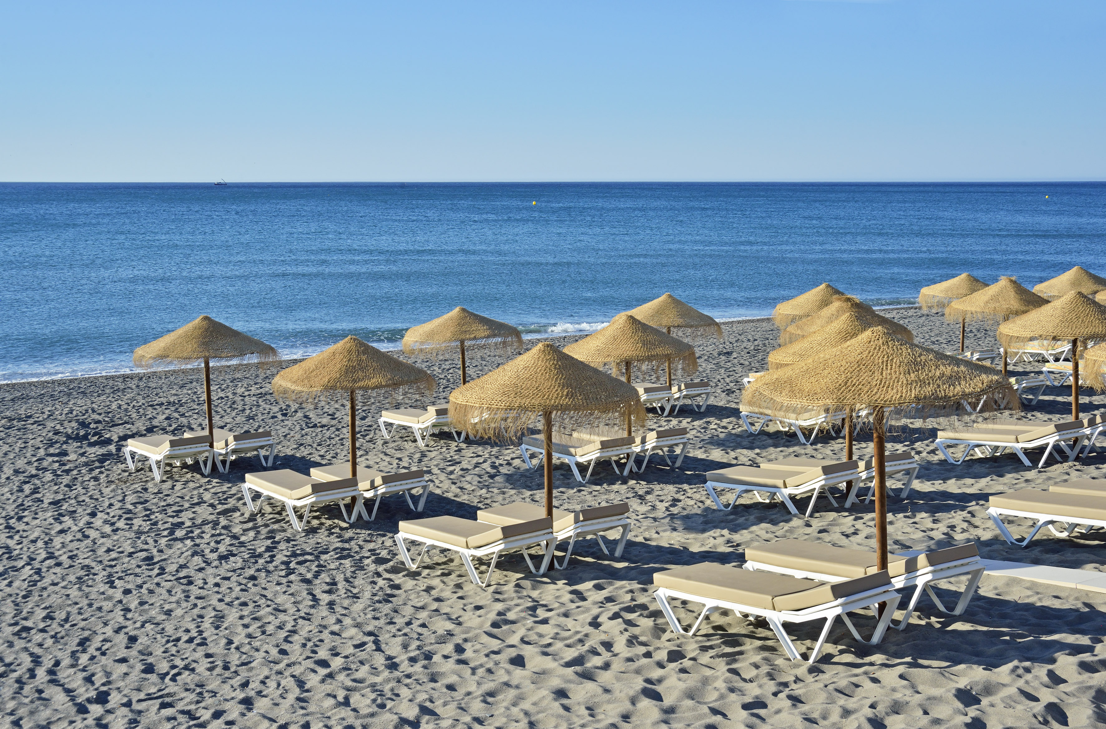 a group of lounge chairs and umbrellas on a beach