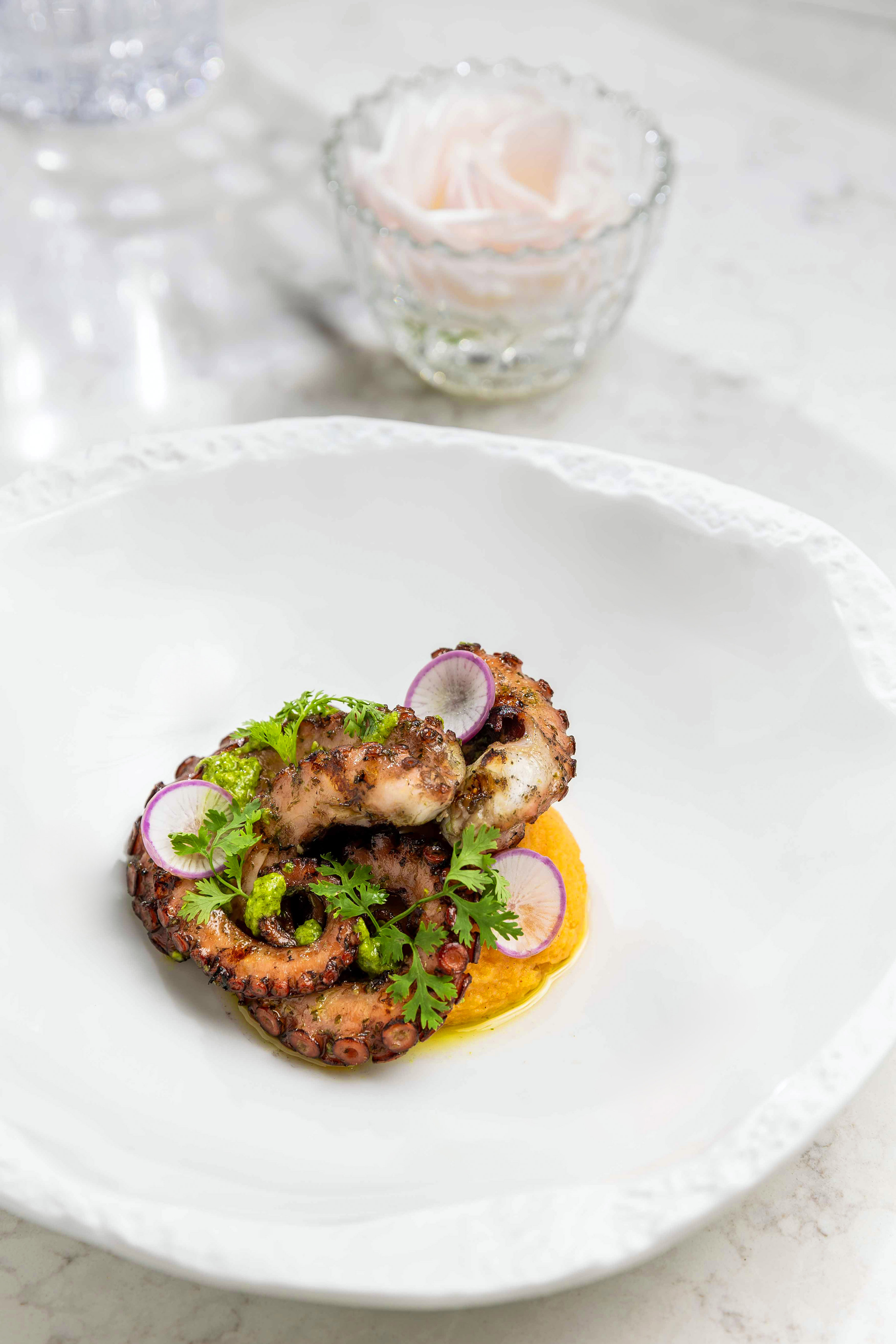 Grilled octopus with yellow purée, cilantro, and radish on white plate.