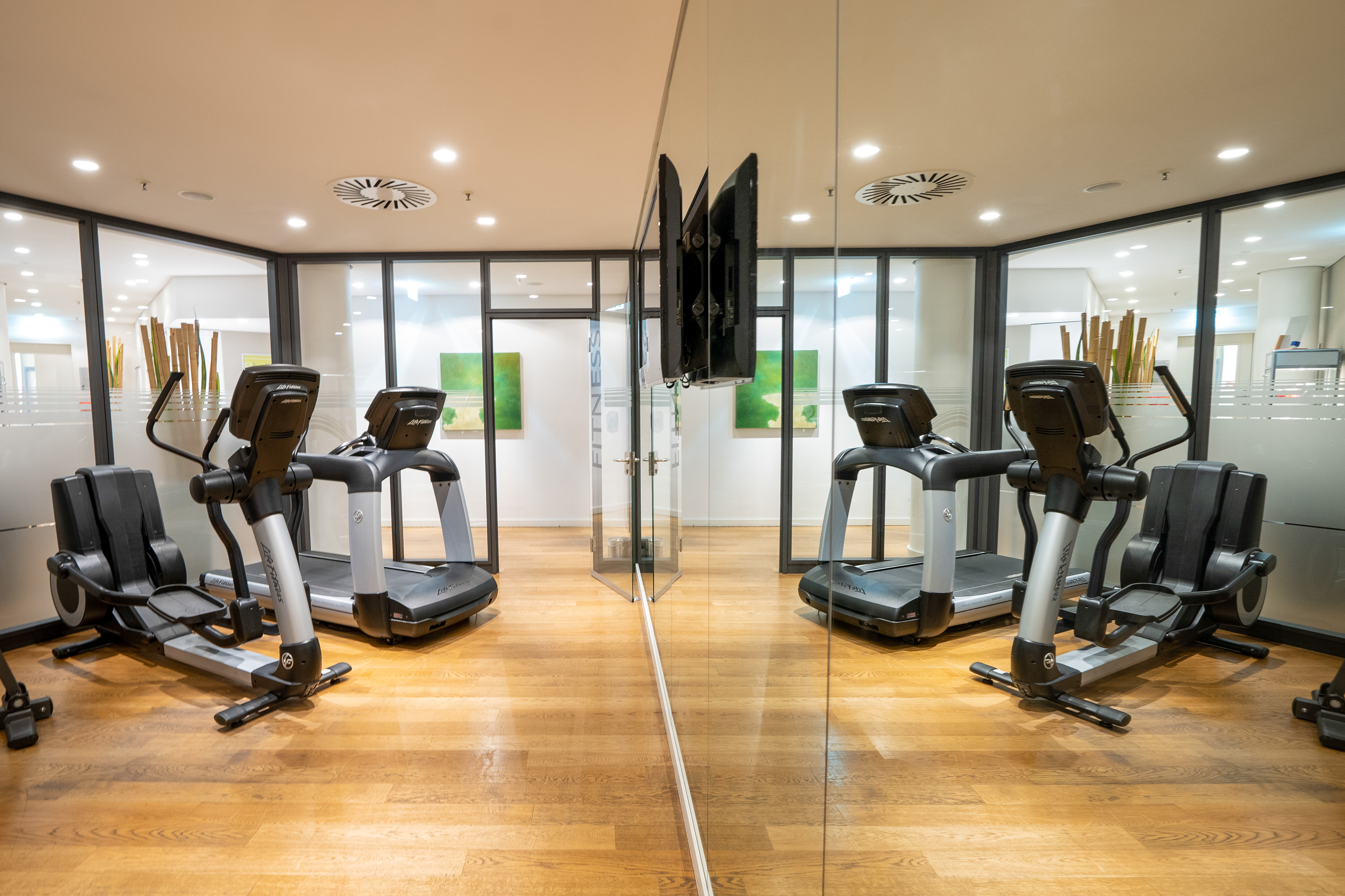 Modern fitness room with treadmill, elliptical machine, and glass partitions.