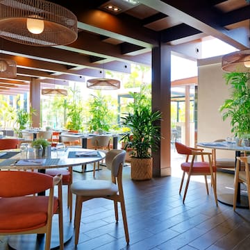 a restaurant with tables and chairs