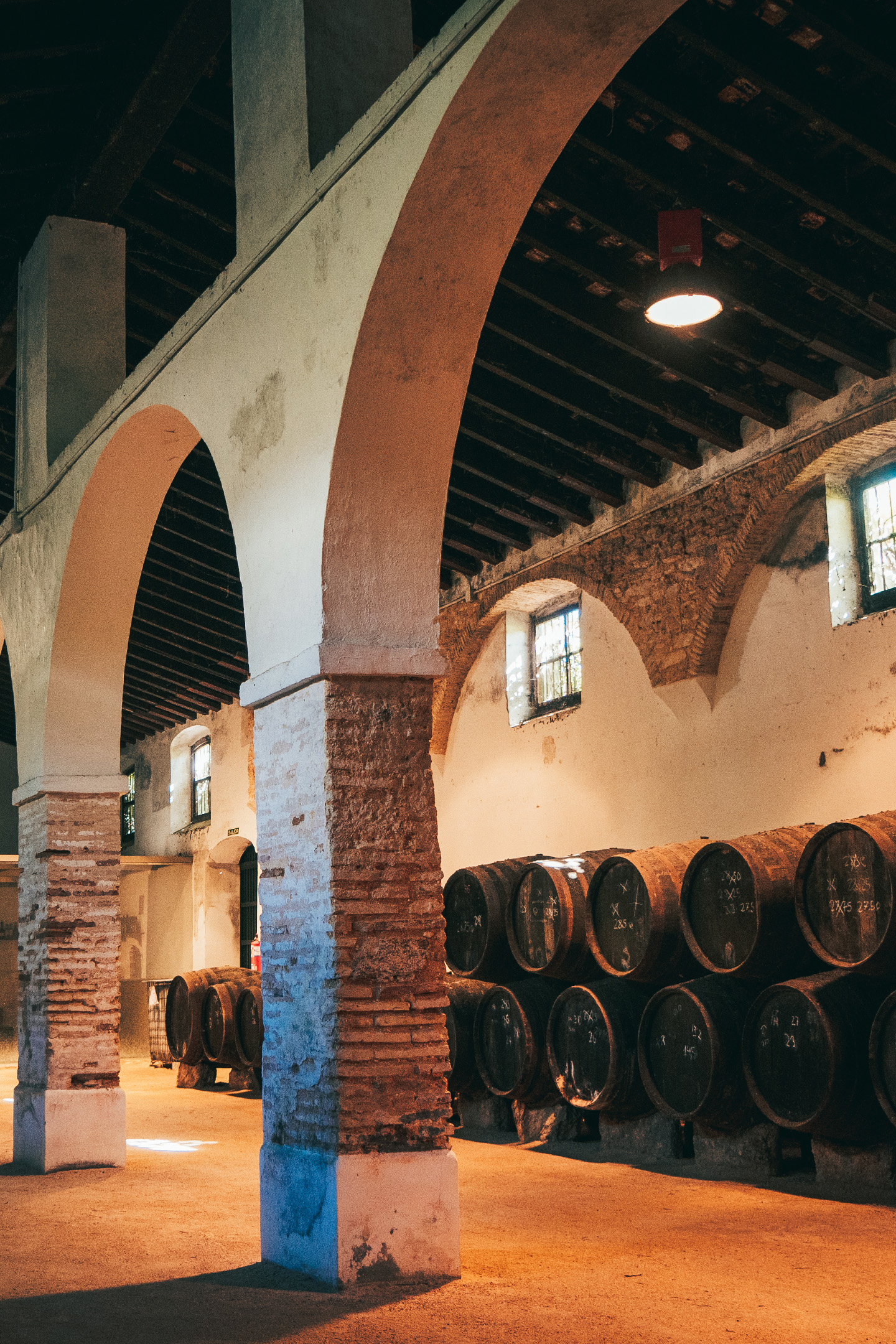 a room with many barrels