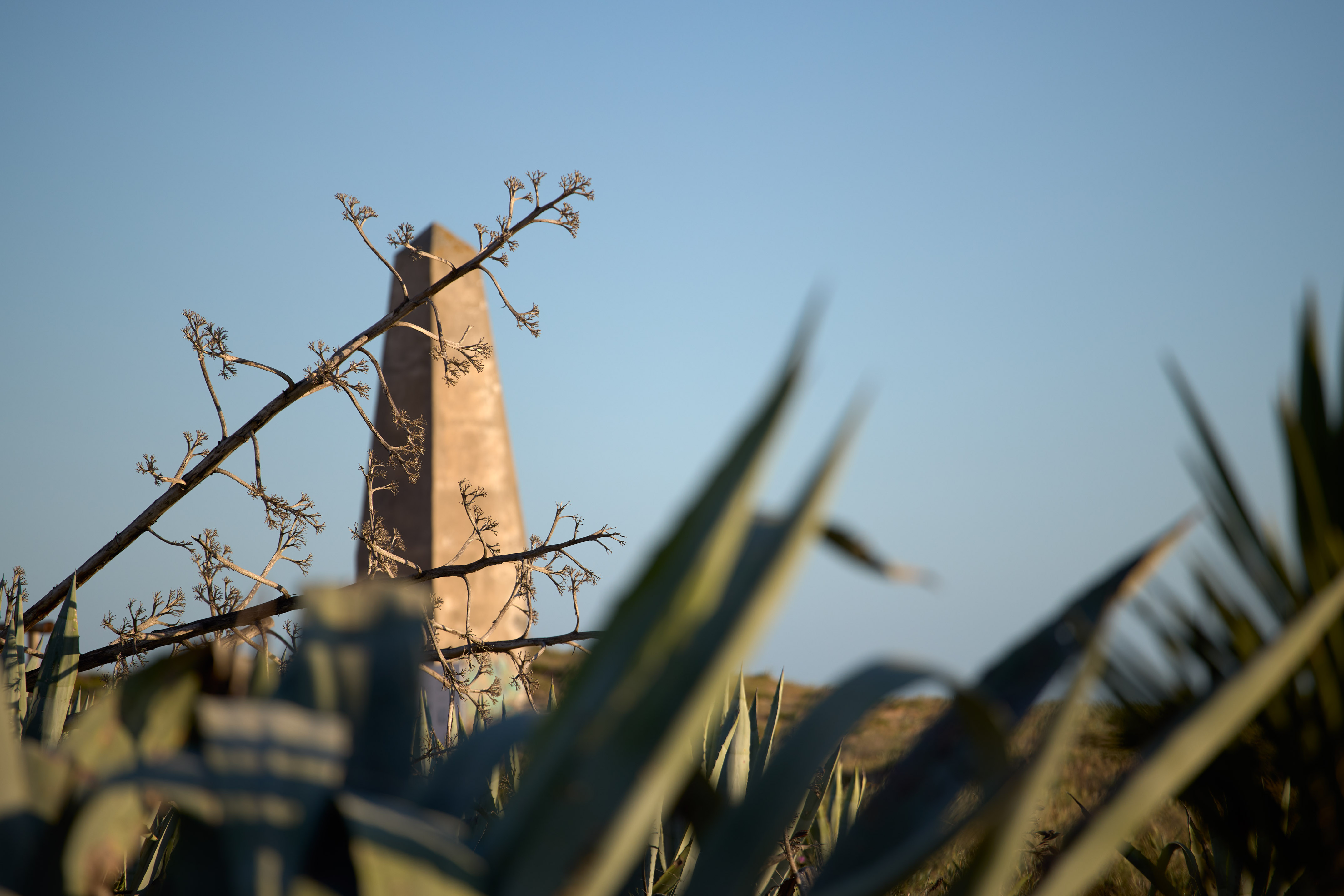 Stone obelisk behind agave plants and dry flower stalk against blue sky.