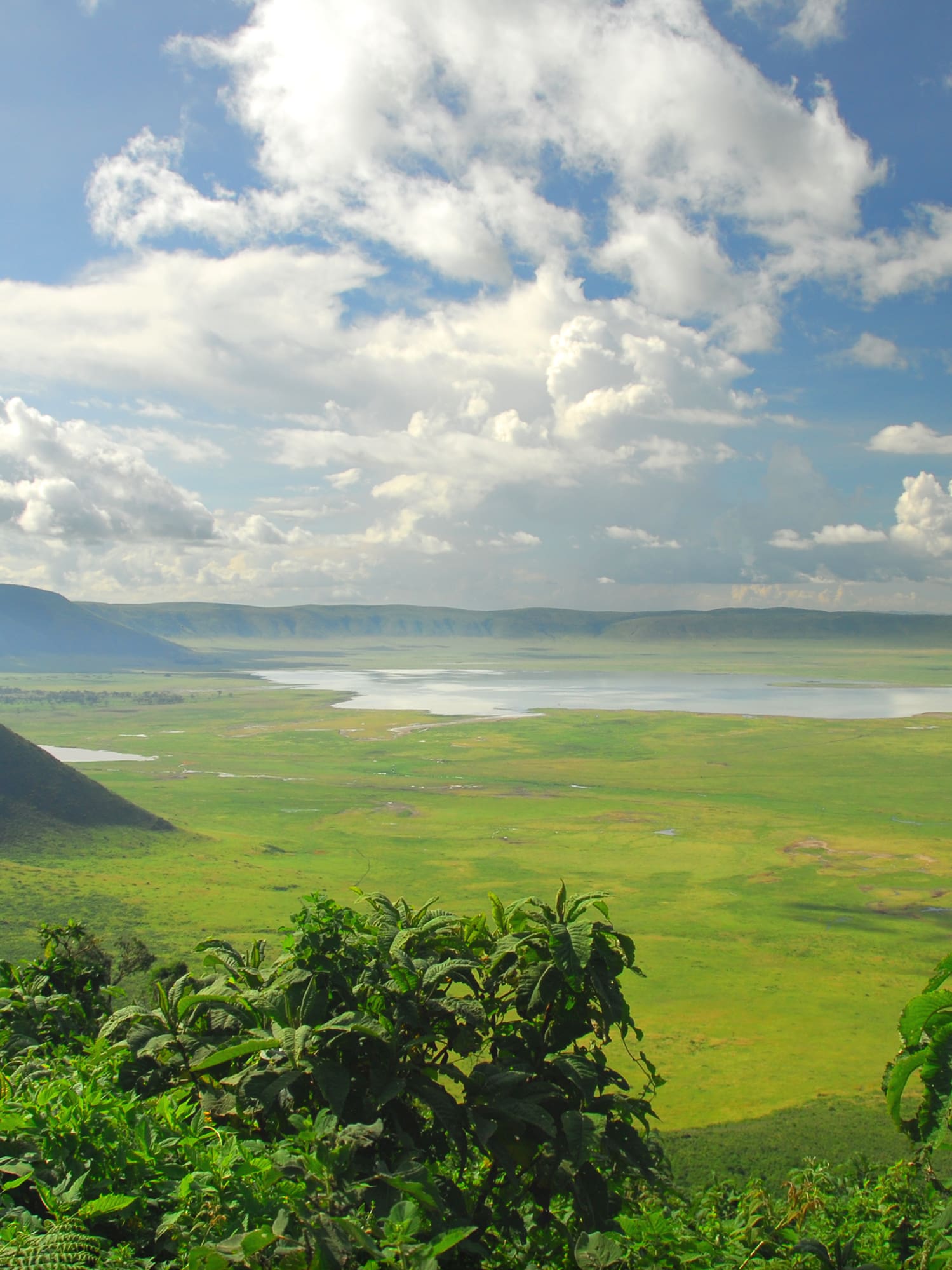 a green landscape with mountains and a lake