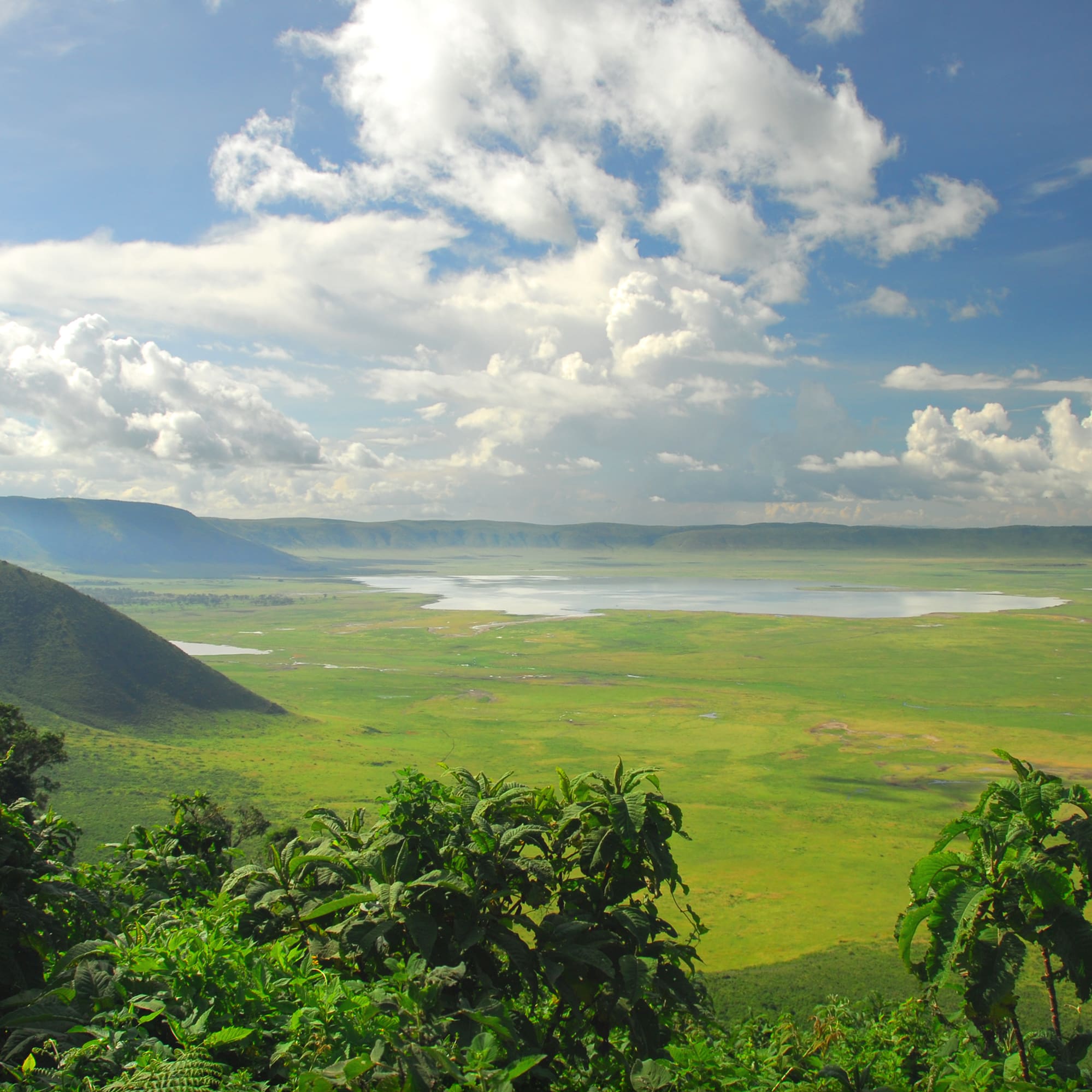 a green landscape with mountains and a lake