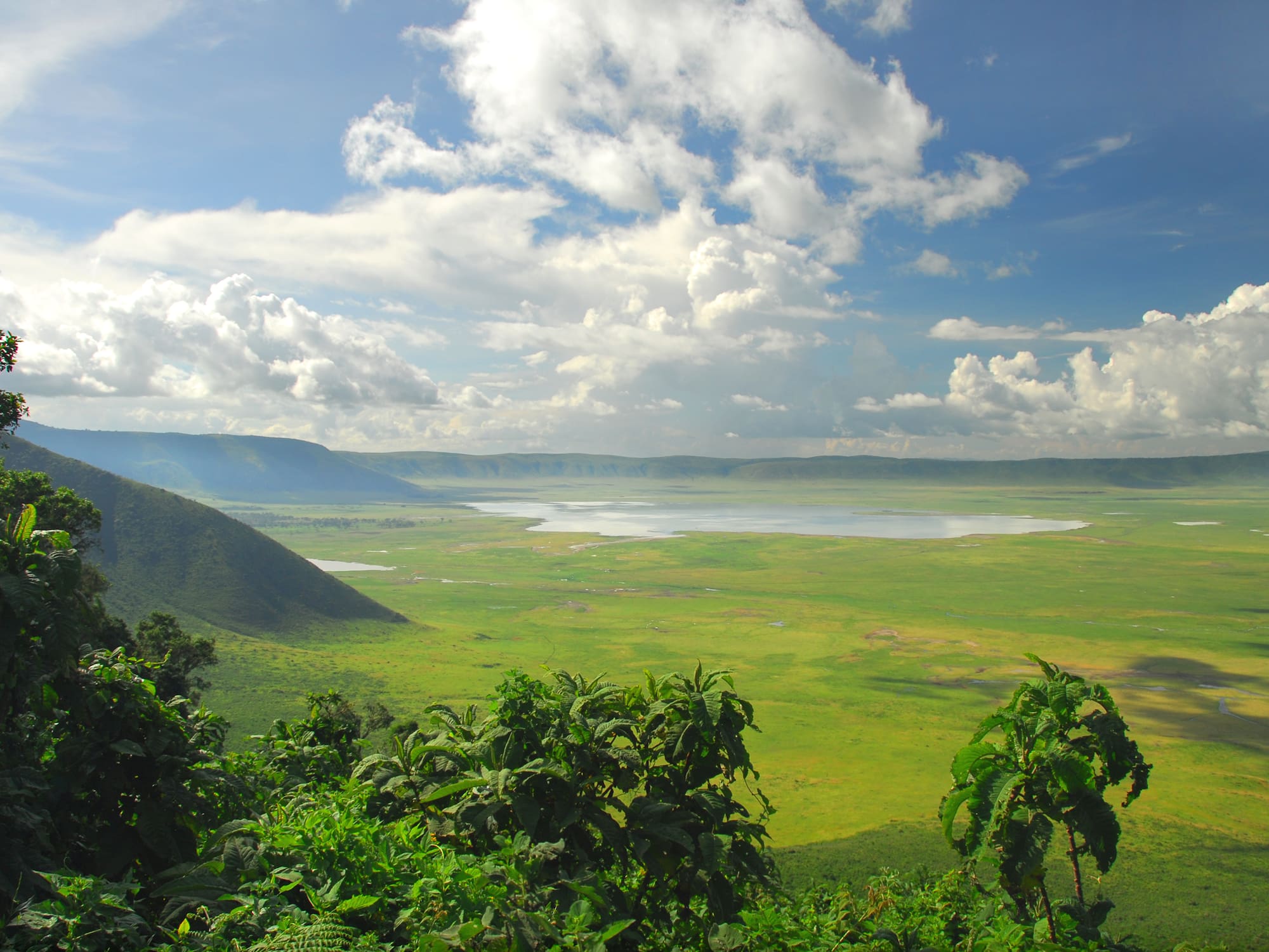 a green landscape with mountains and a lake