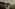 Woman in white dress looking at dramatic sea cliffs at sunset.
