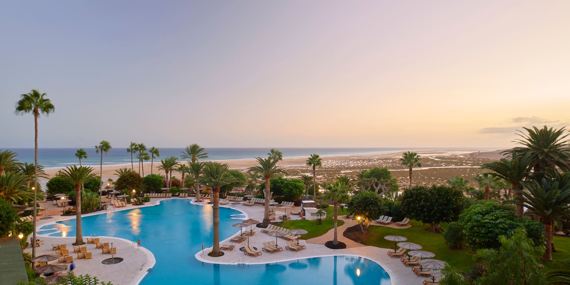 a pool with palm trees and chairs and a beach