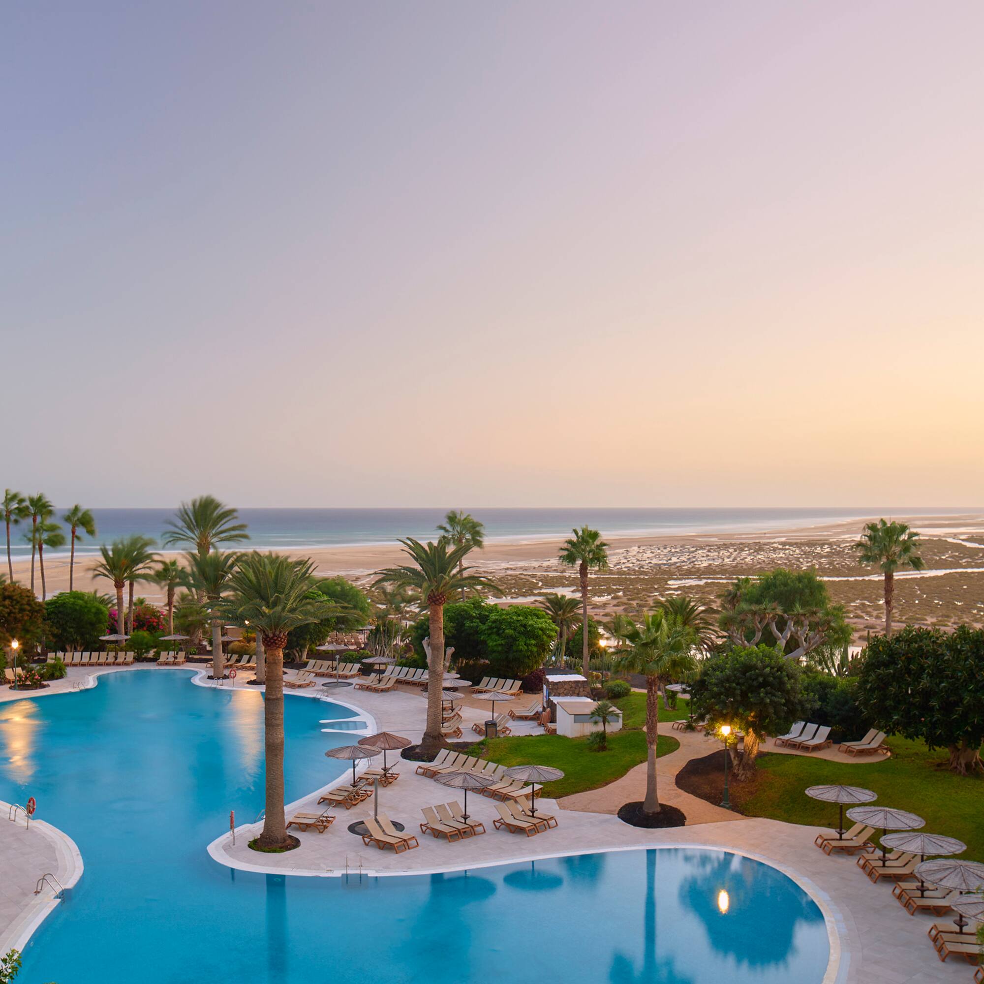 a pool with palm trees and chairs and a beach