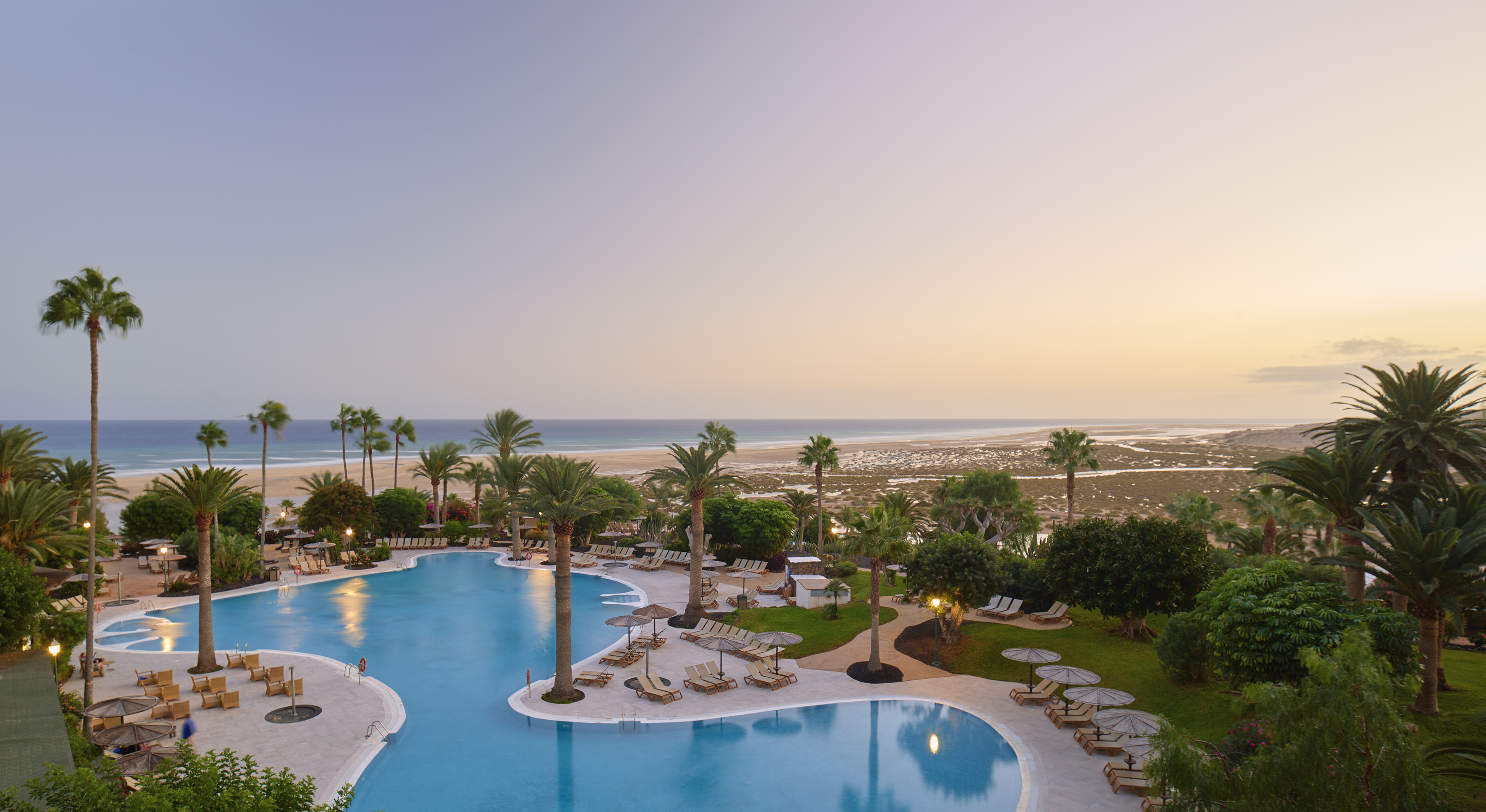 a pool with palm trees and chairs and a beach