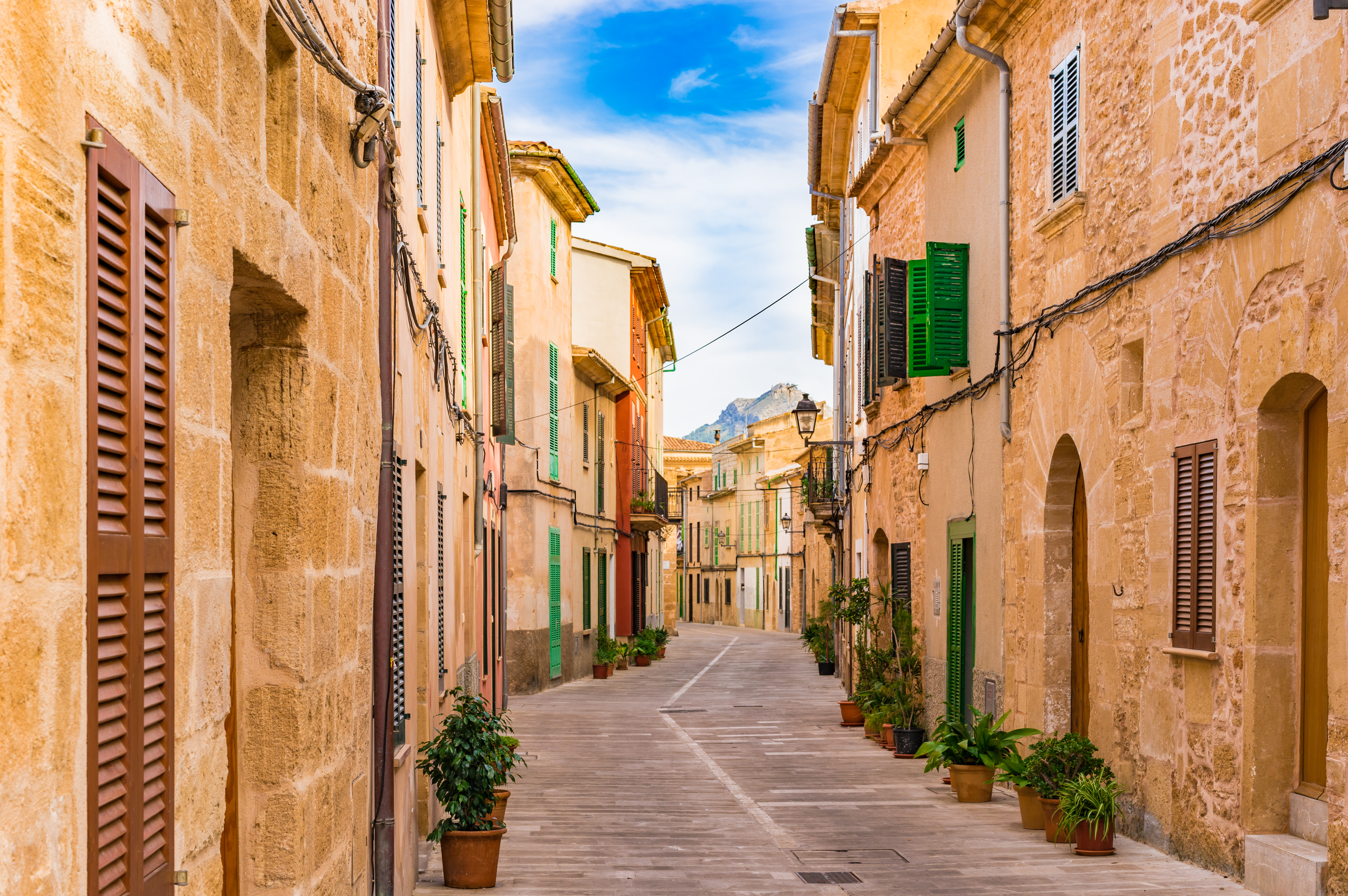 a narrow street with buildings and plants