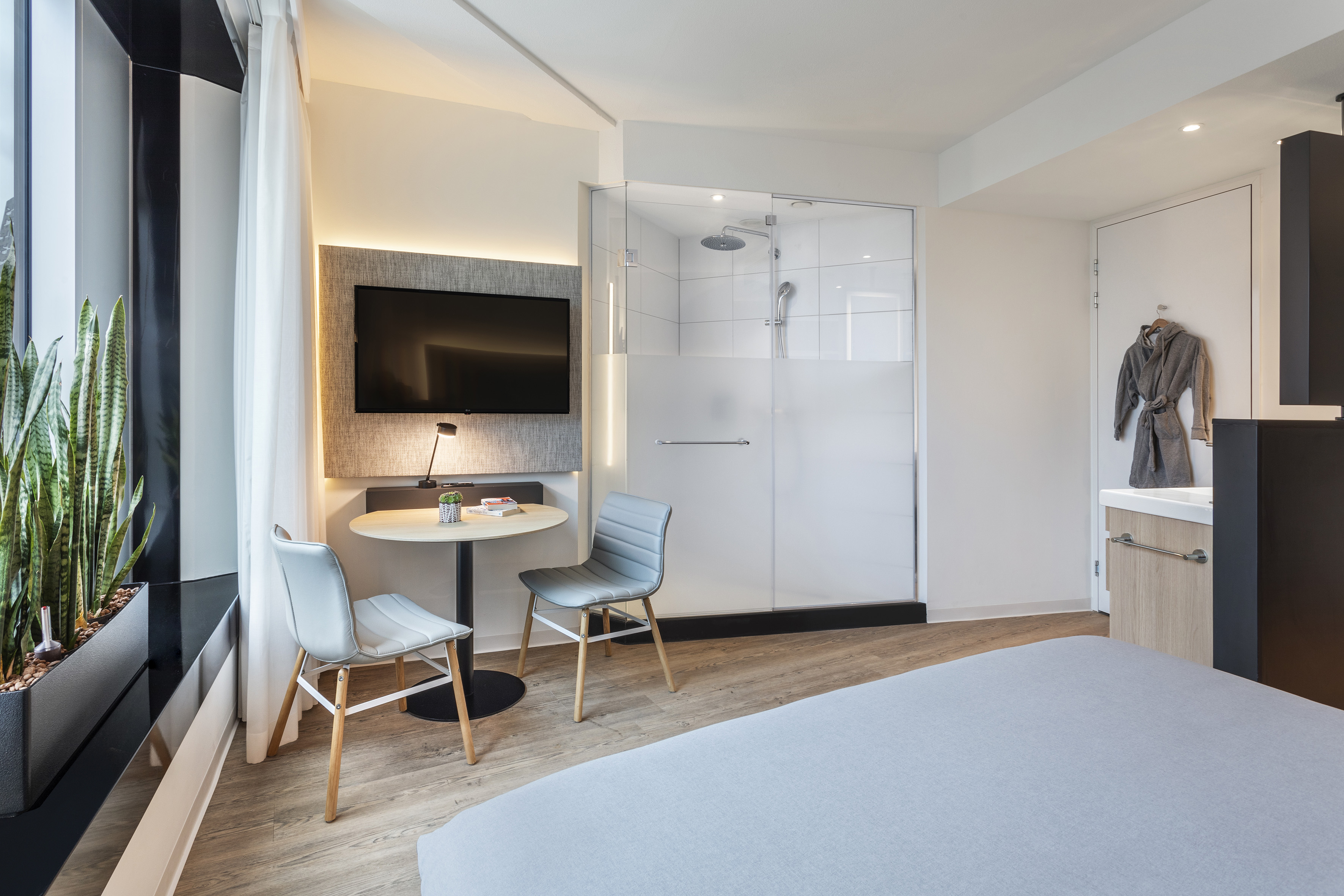 Modern hotel room with bed, wall TV, glass shower, compact table, and plants.