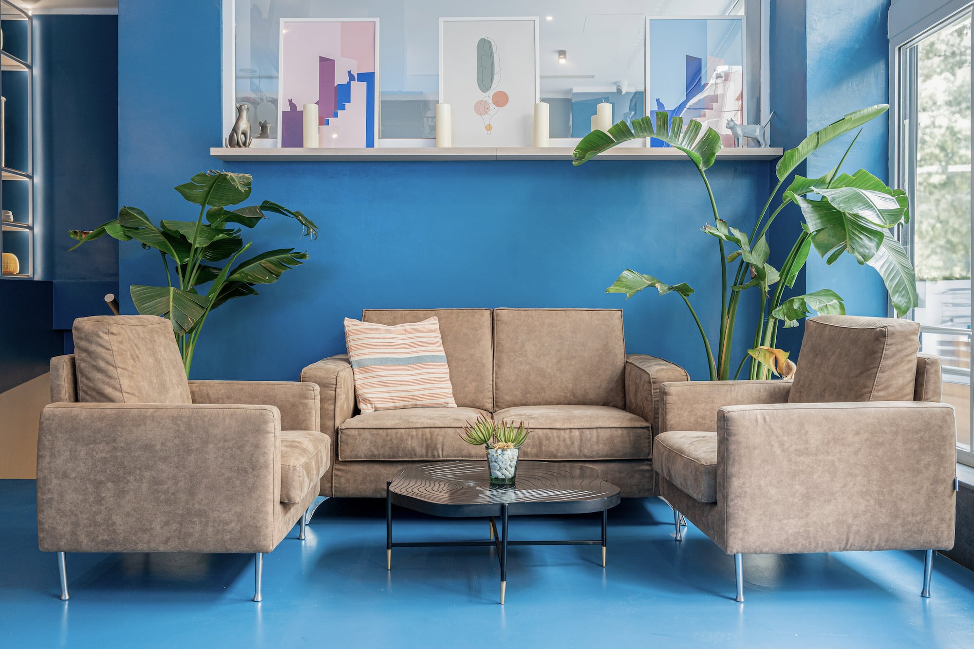 Cozy blue living room with modern brown sofa, armchairs, coffee table, and plants.