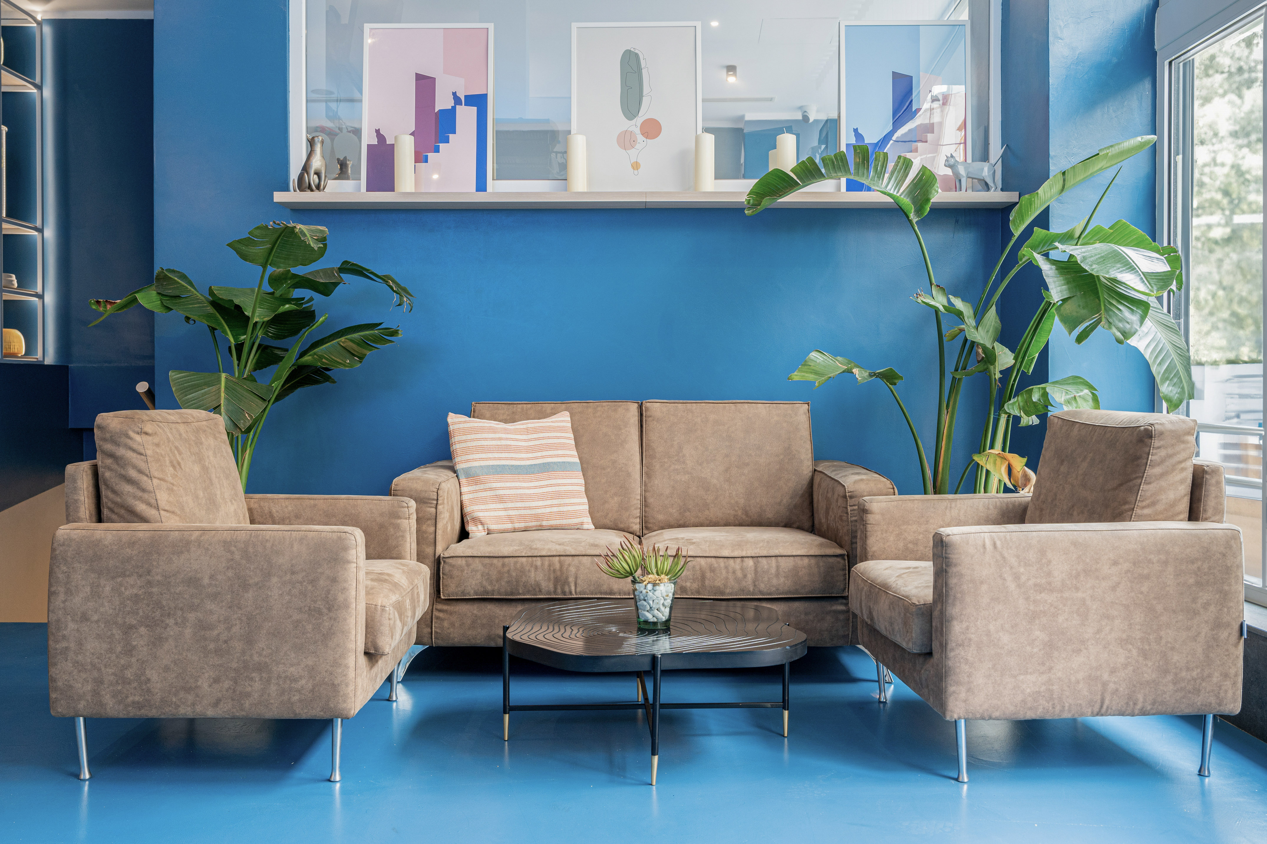 Cozy blue living room with modern brown sofa, armchairs, coffee table, and plants.