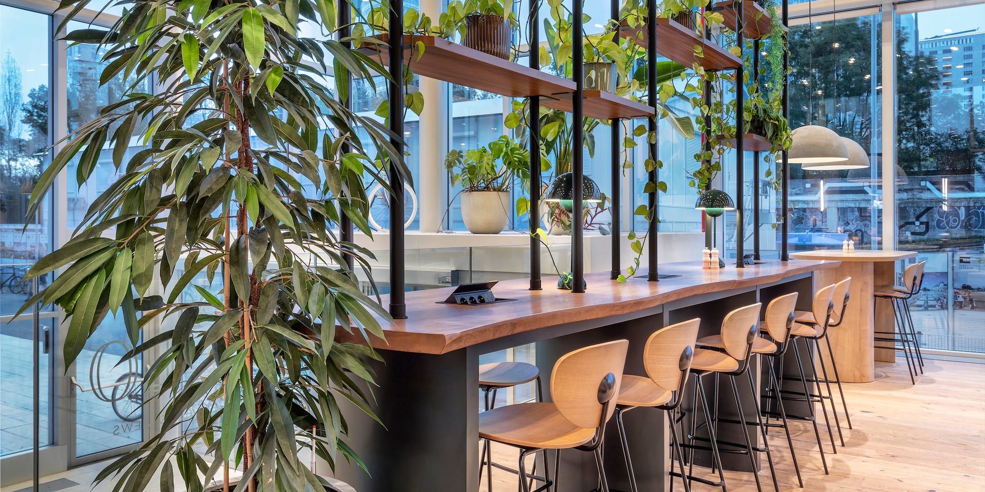 a long table with chairs and a plant in a room with windows