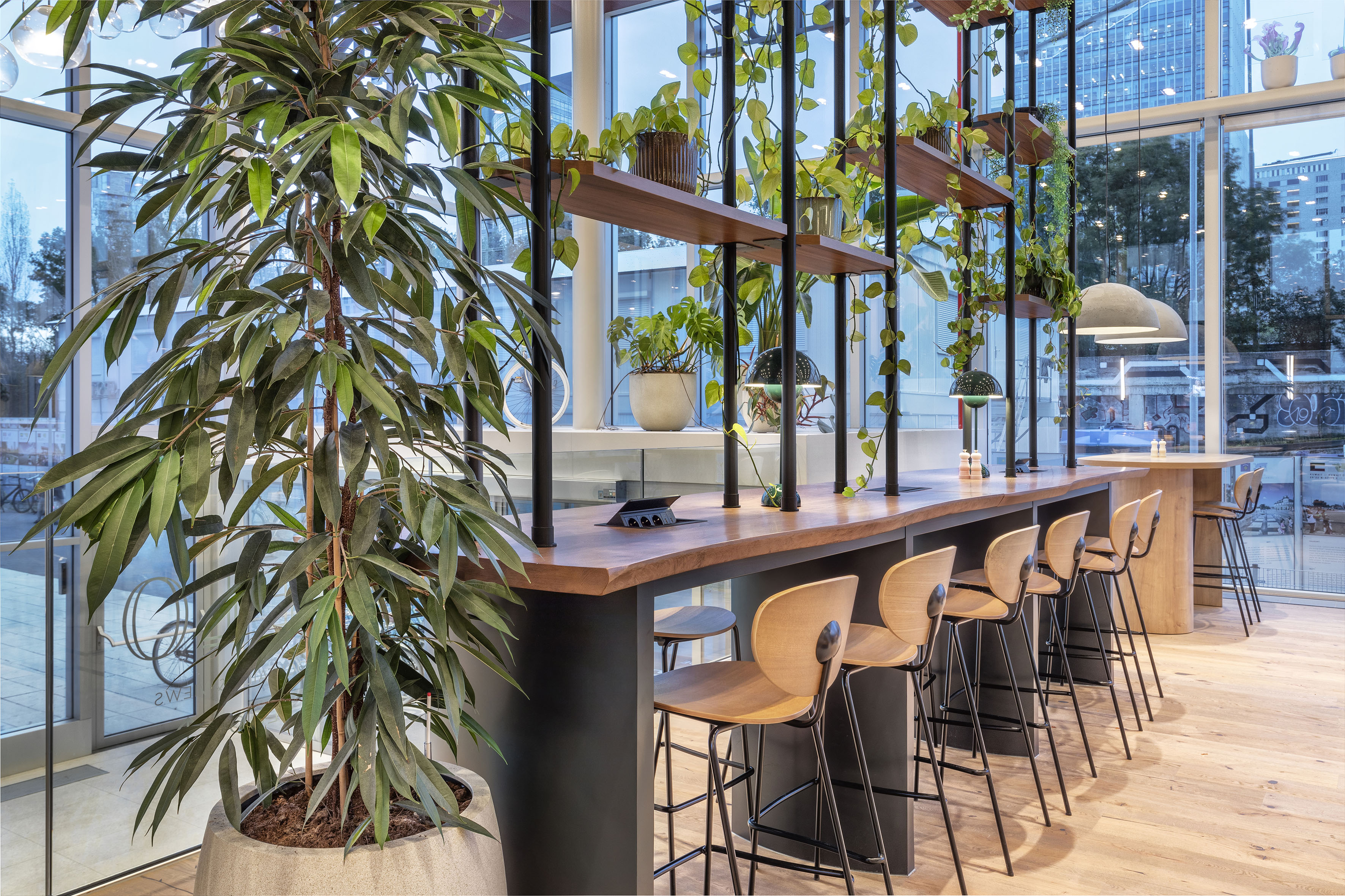 Contemporary office: long wooden table, bar stools, indoor plants, natural light.