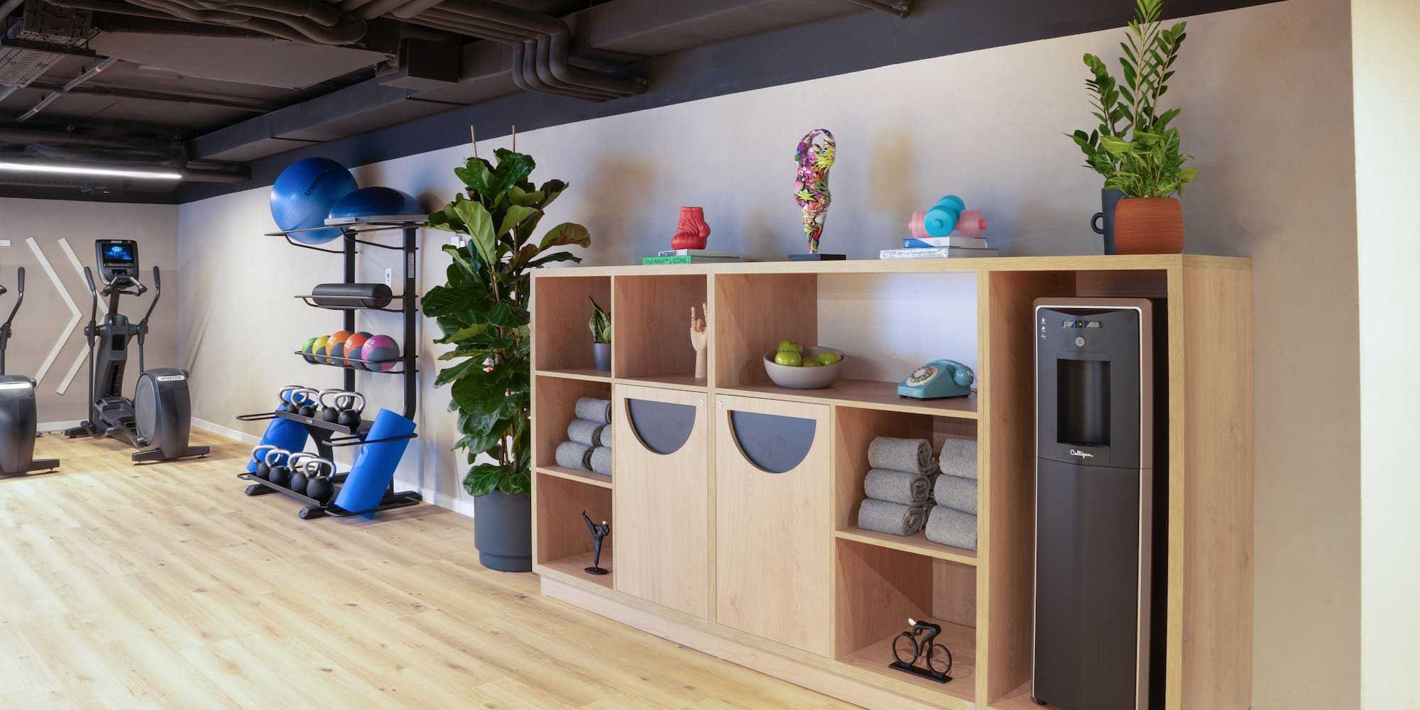 a room with shelves and gym equipment