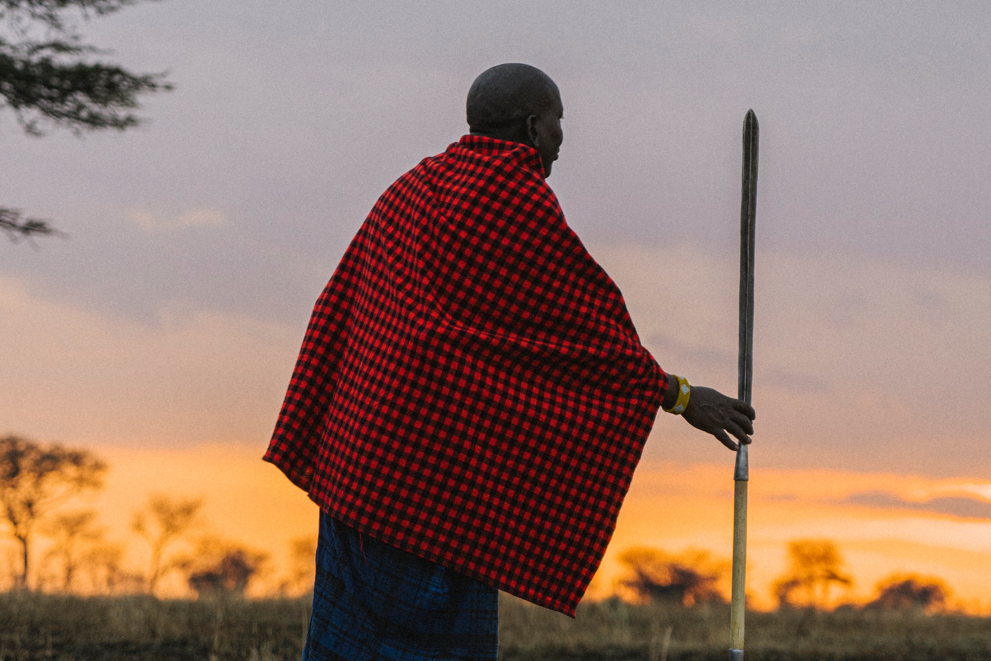 Maasai warrior in red shuka with spear, walking in savanna at sunset.