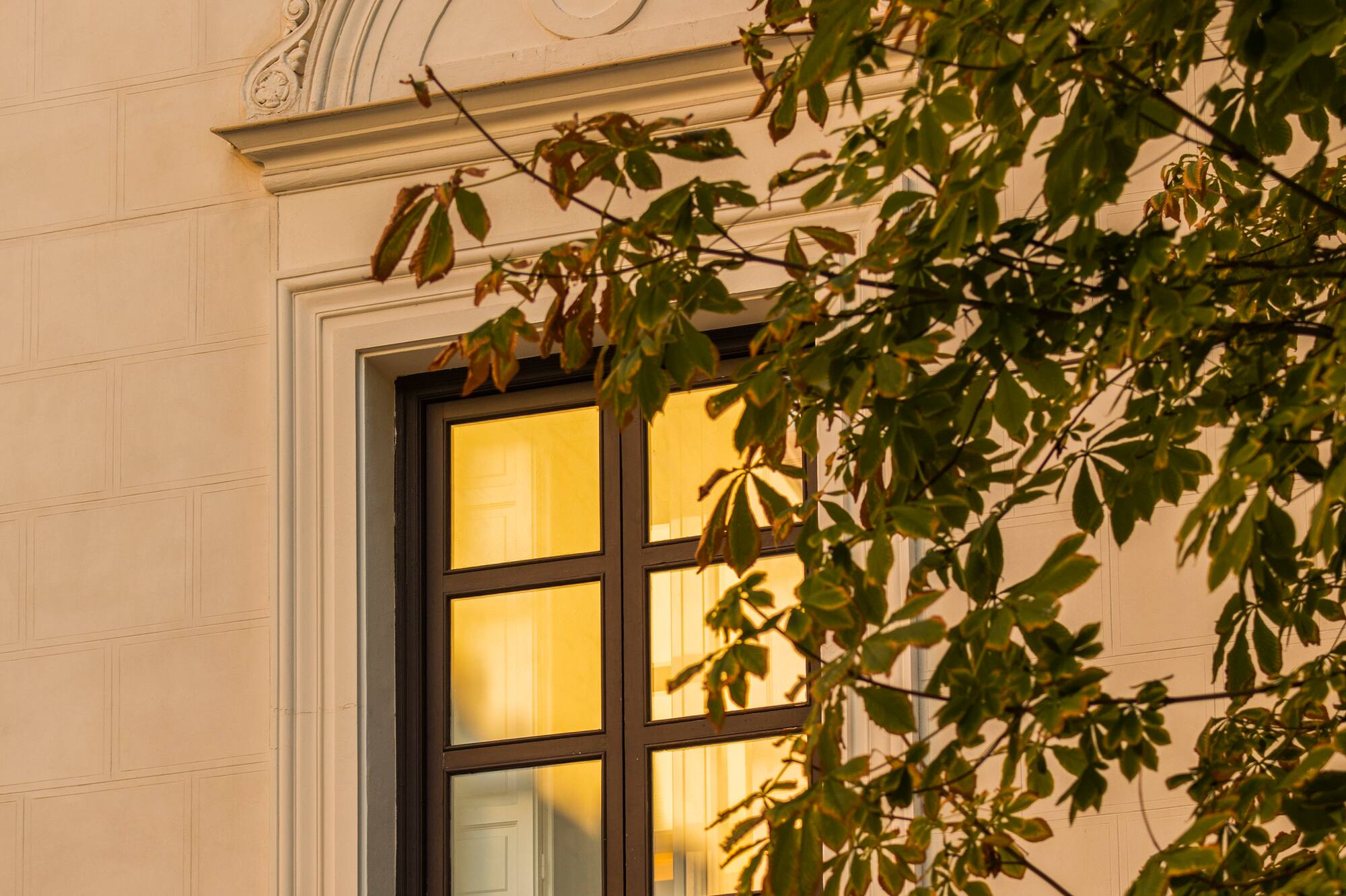 Ornate window, iron balcony on elegant building facade with green leaves.