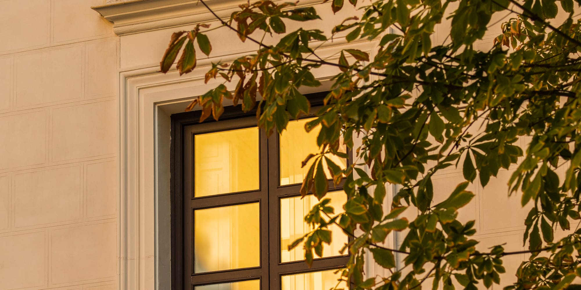 a window with a balcony and a tree