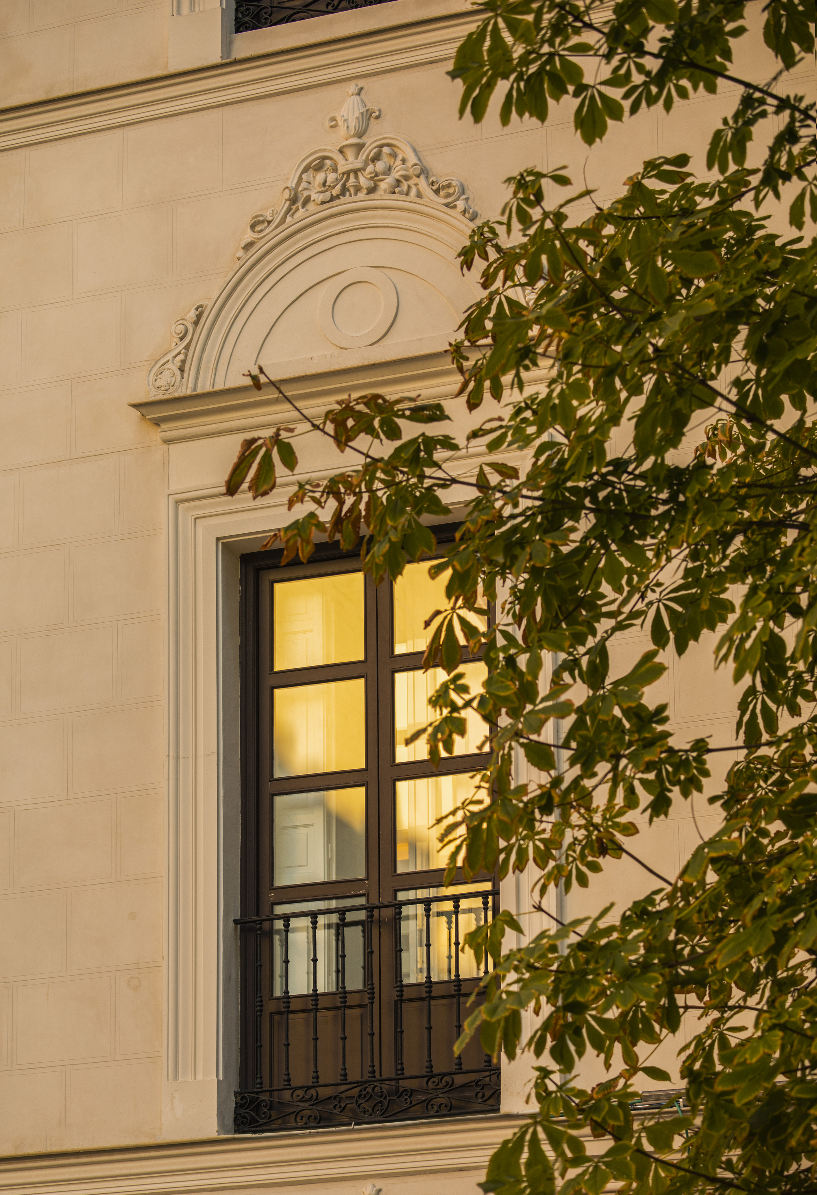 Ornate window, iron balcony on elegant building facade with green leaves.