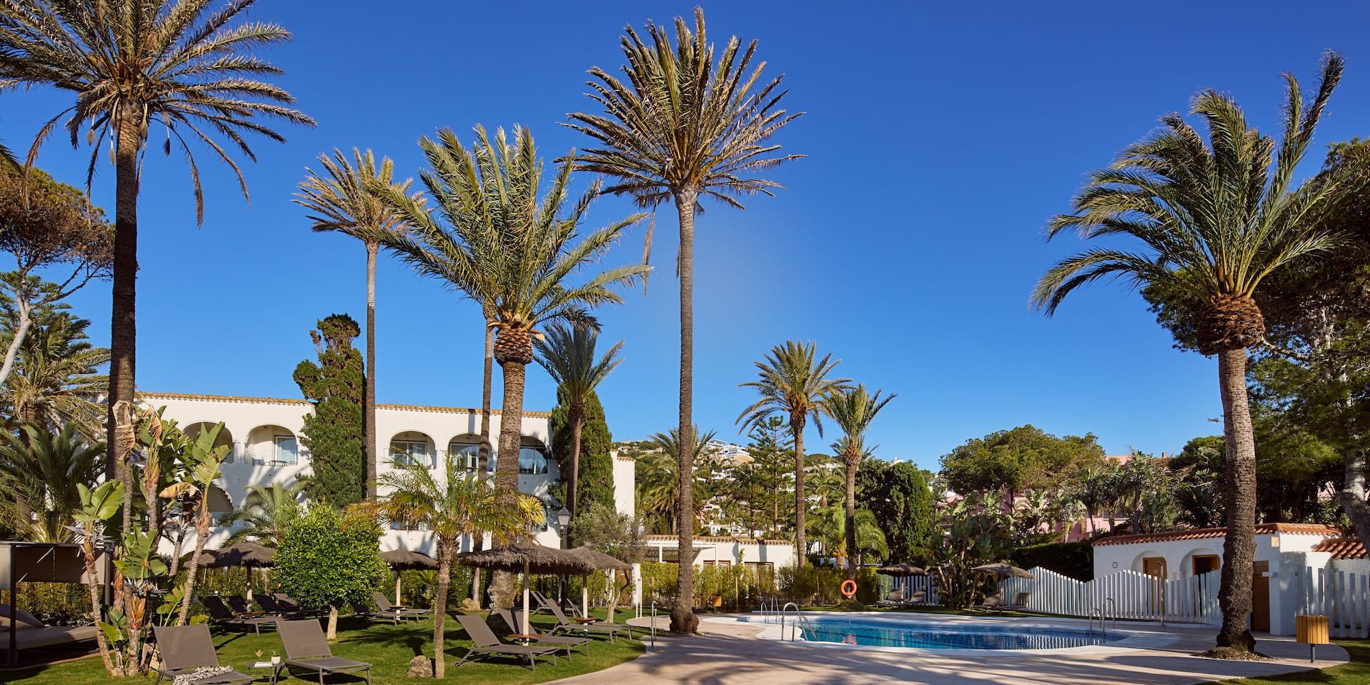 a pool with palm trees and a building