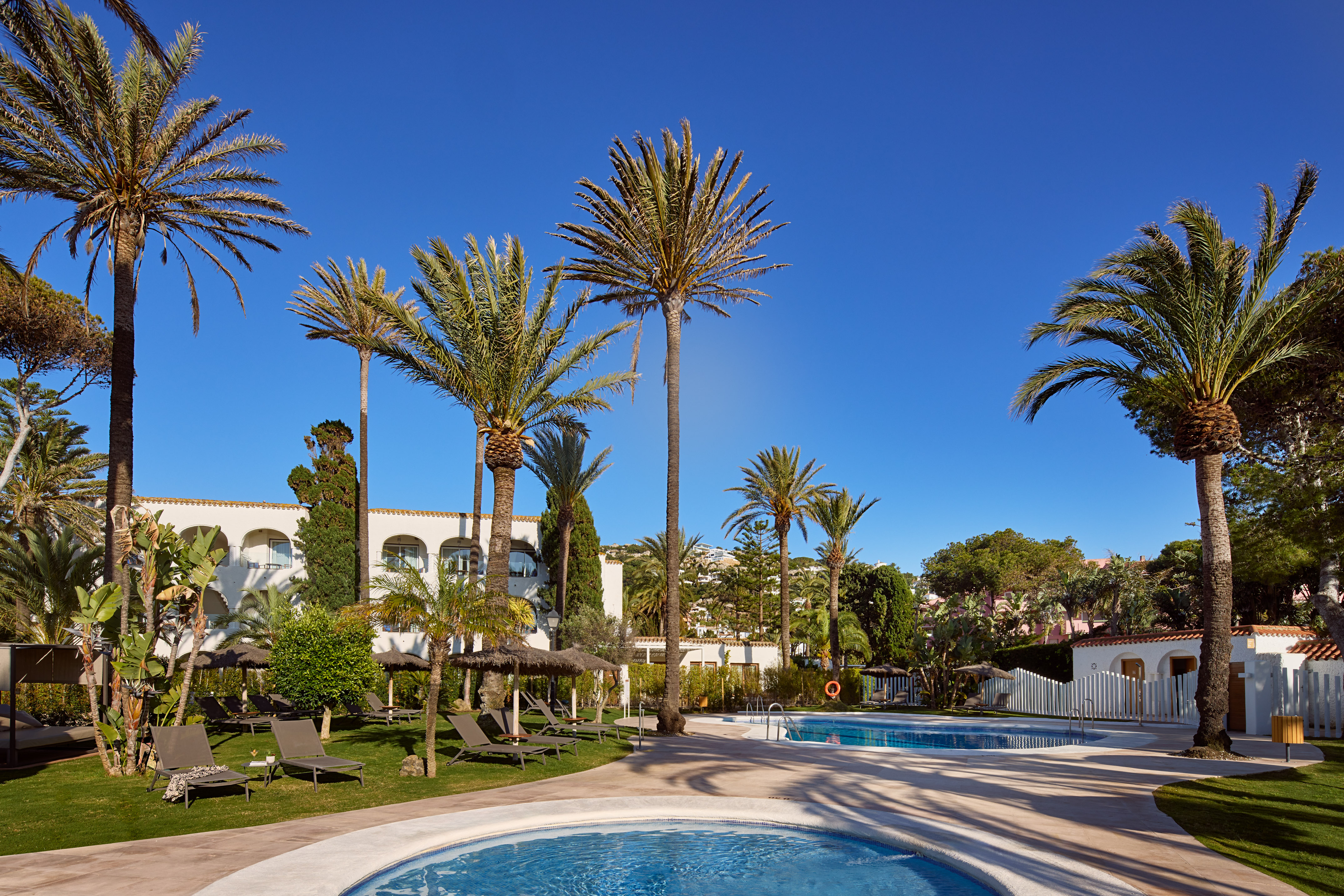 a pool with palm trees and a building