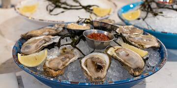 a plate of oysters on ice with lemons and sauces