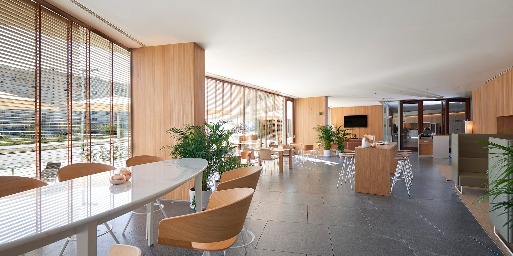Espacio de trabajo moderno con ventanales, persianas de madera y plantas.