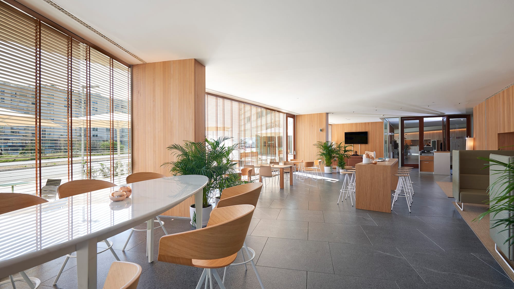 Espacio de trabajo moderno con ventanales, persianas de madera y plantas.