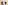 Happy tricolor Australian Shepherd dog looking up, mouth open with tongue out.