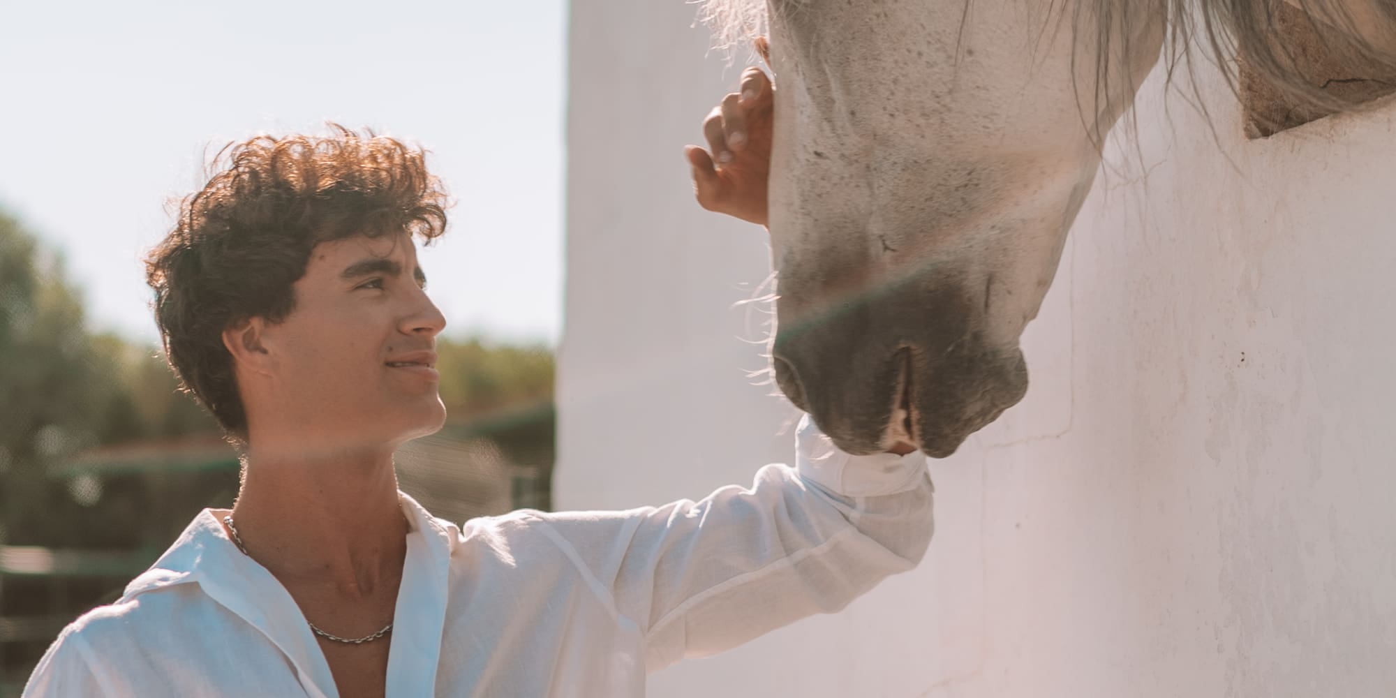 a man touching a horse's head