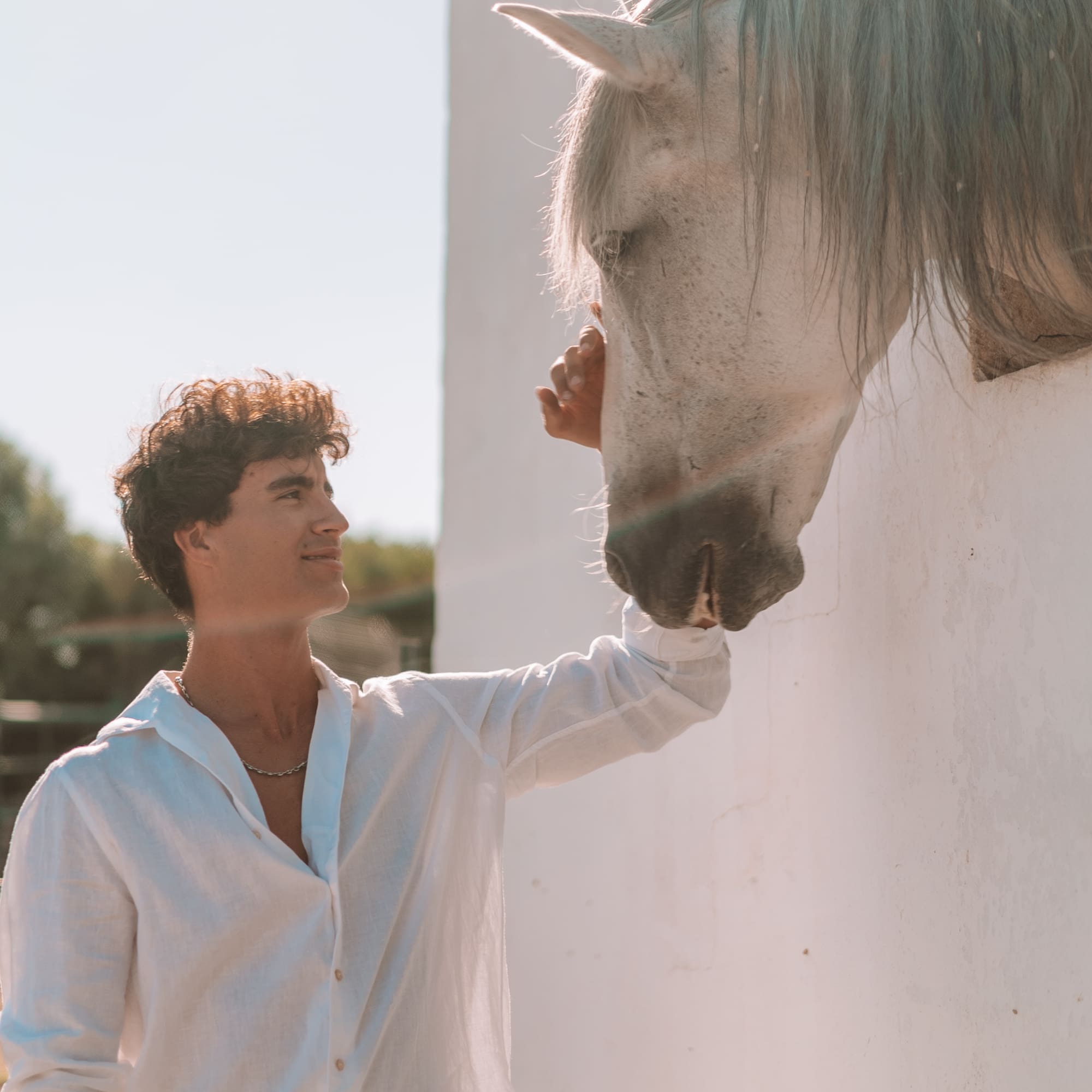 a man touching a horse's head