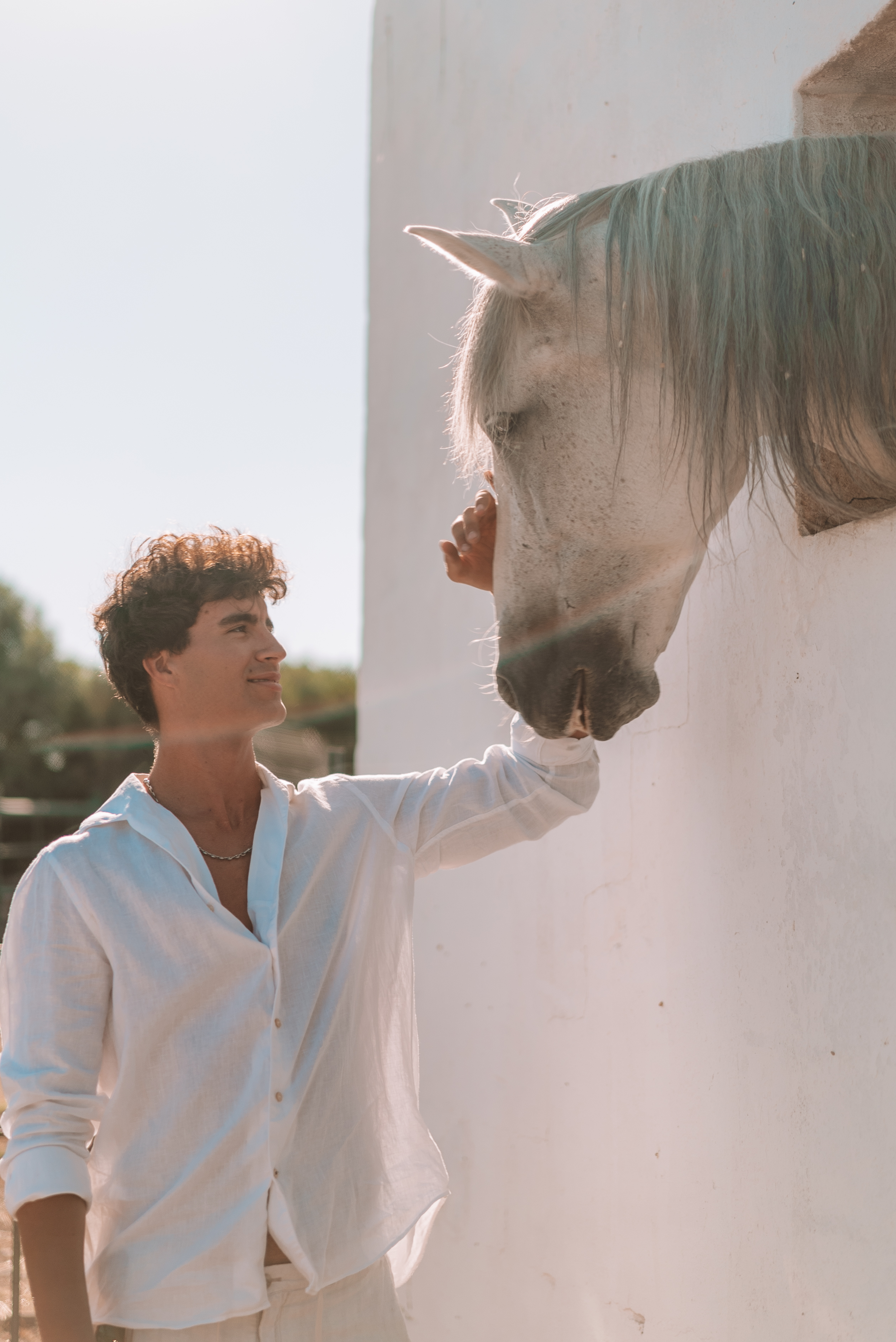 a man touching a horse's head