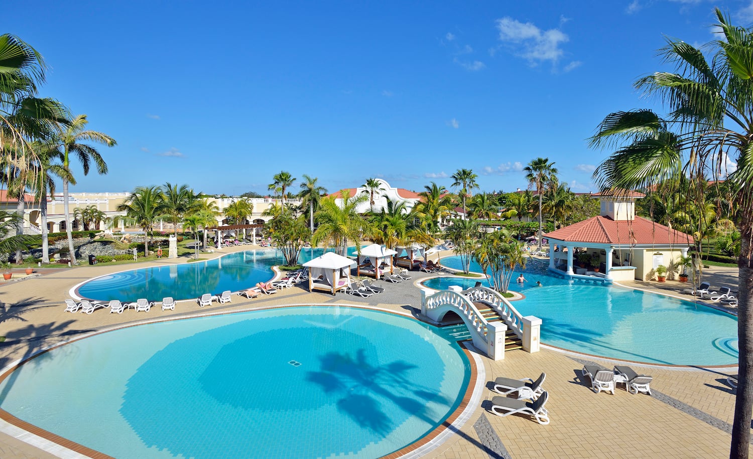 a swimming pool with a bridge and palm trees