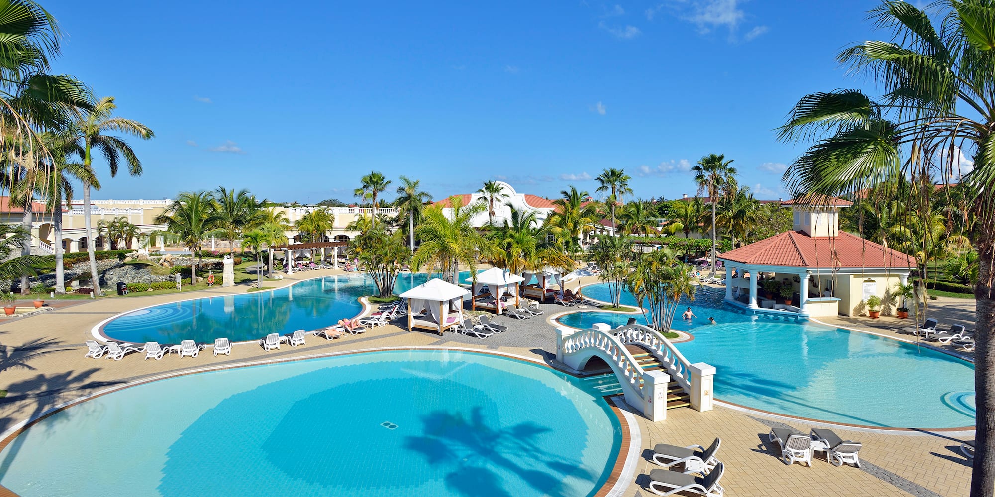a swimming pool with a bridge and palm trees