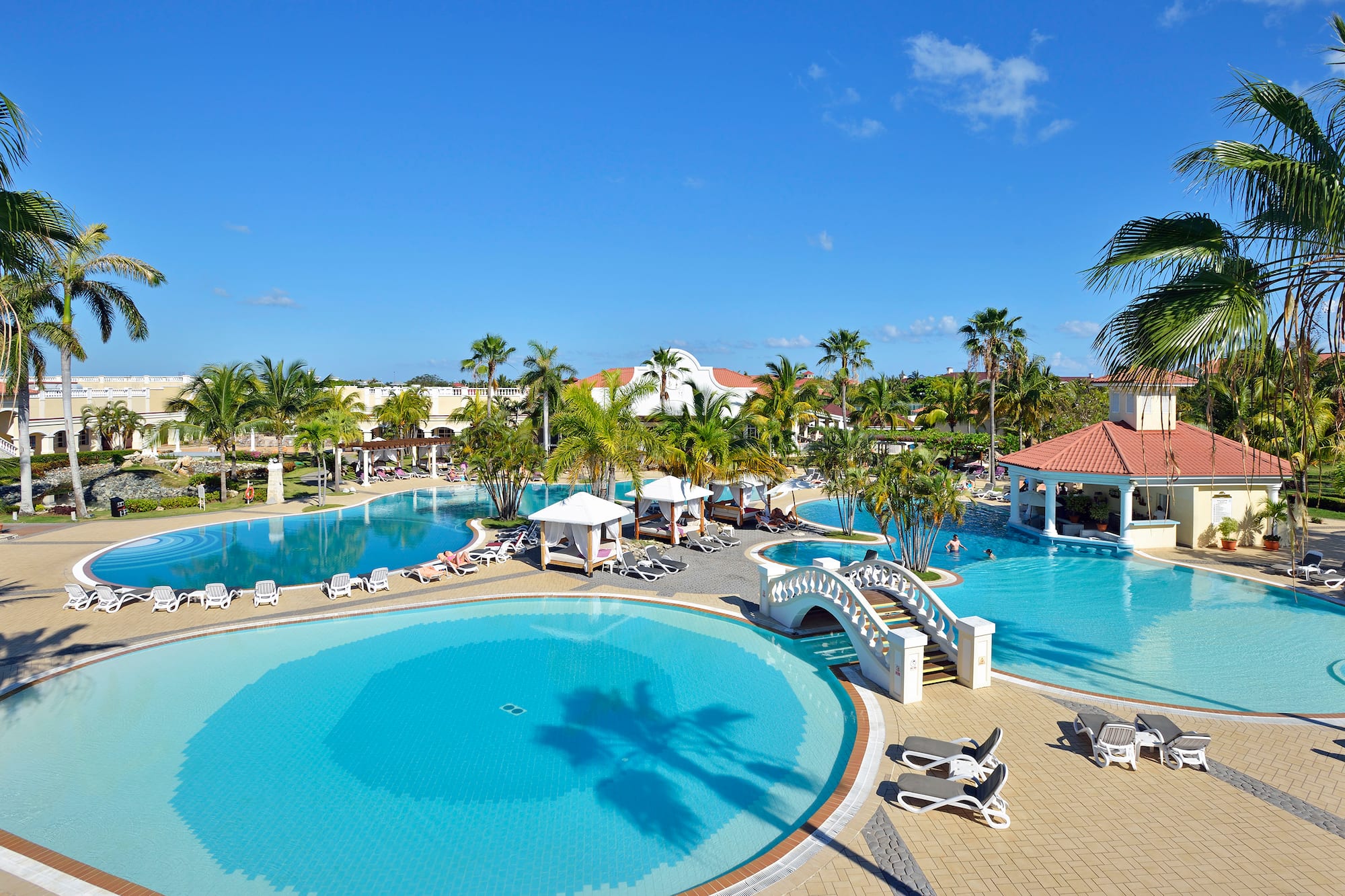 a swimming pool with a bridge and palm trees