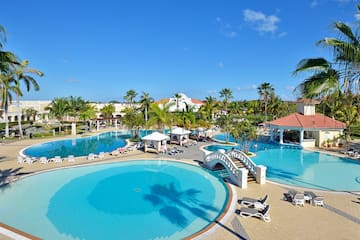 a swimming pool with a bridge and palm trees