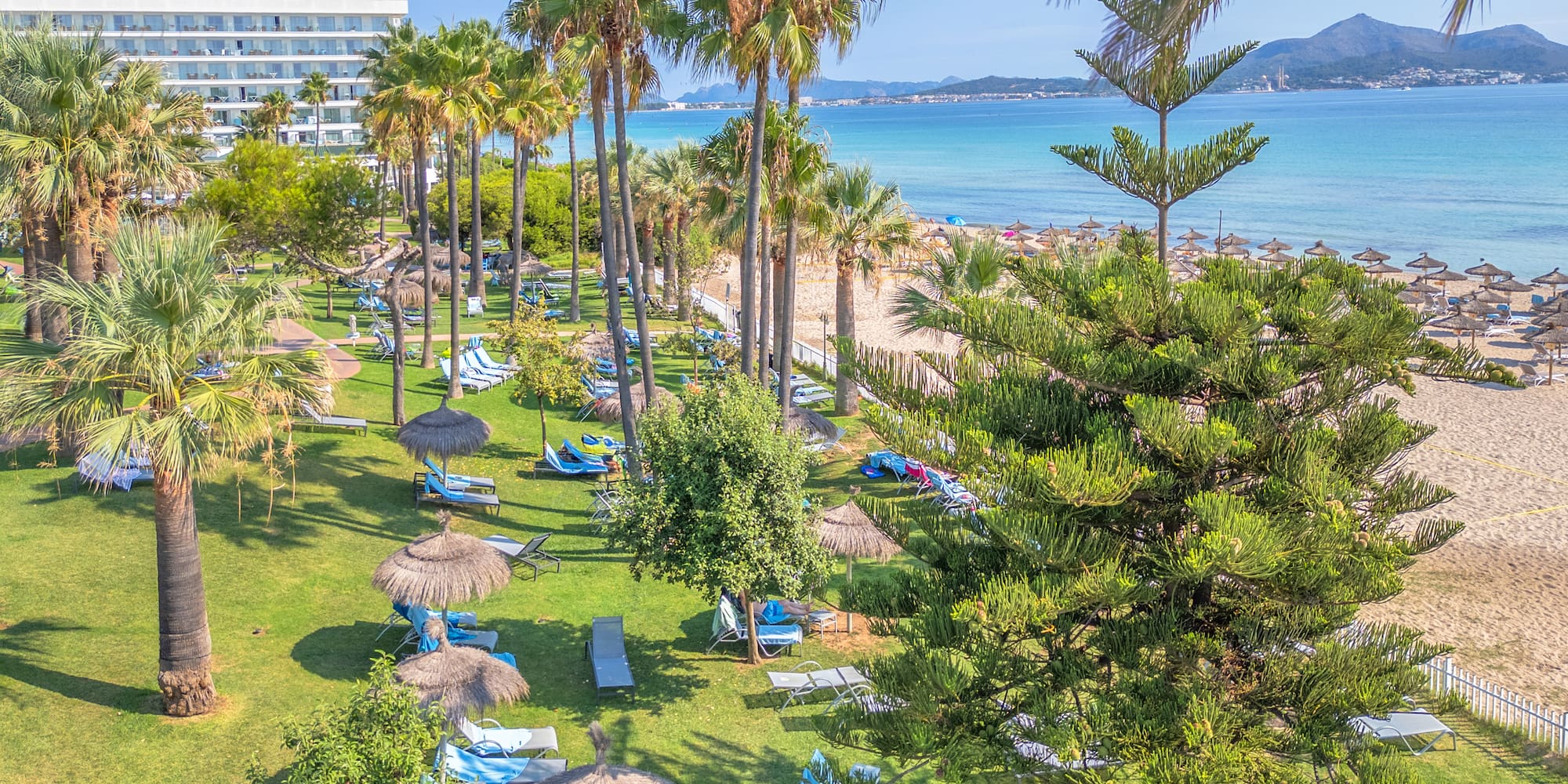 a beach with palm trees and chairs