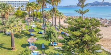 a beach with palm trees and chairs