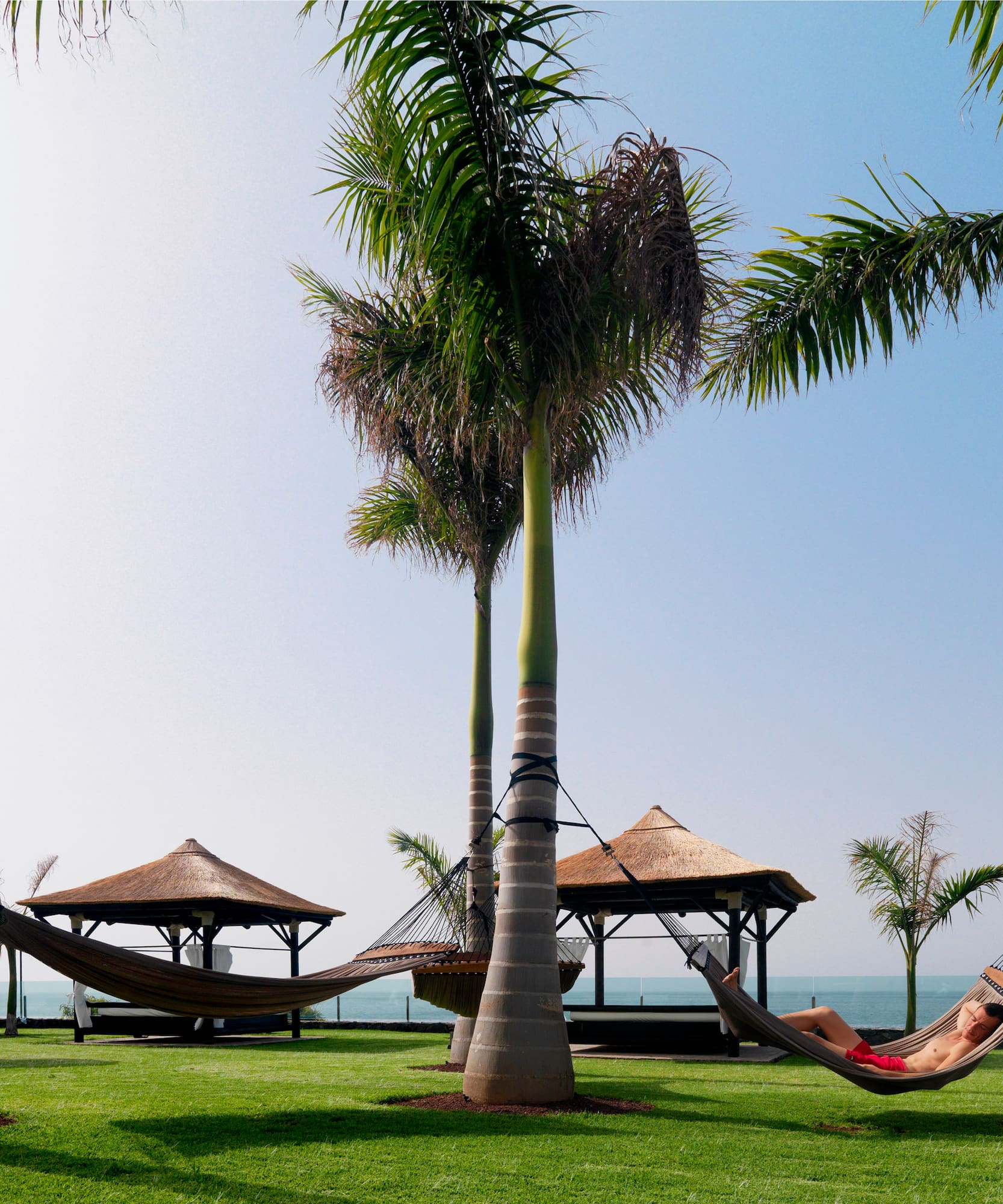 a hammocks on a lawn with palm trees and a couple of people