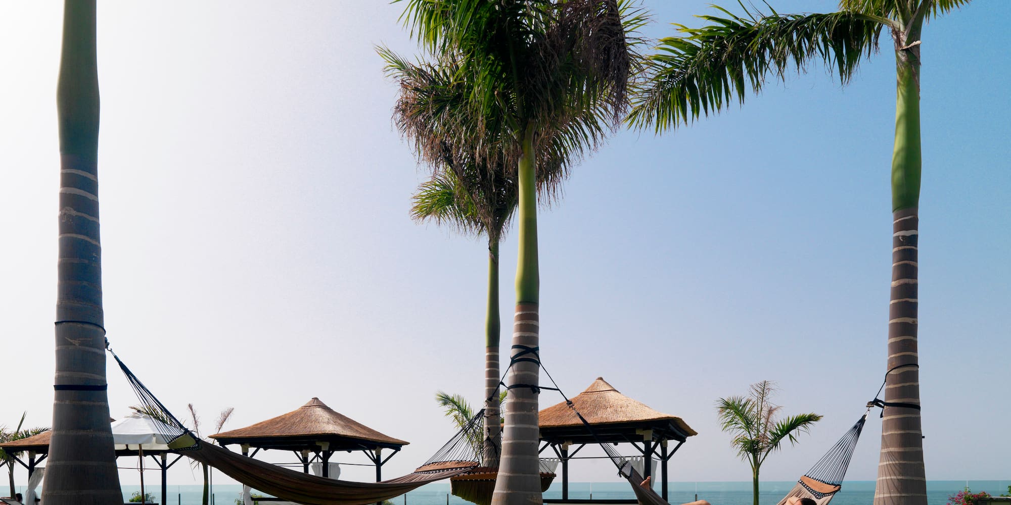 a hammocks on a lawn with palm trees and a couple of people